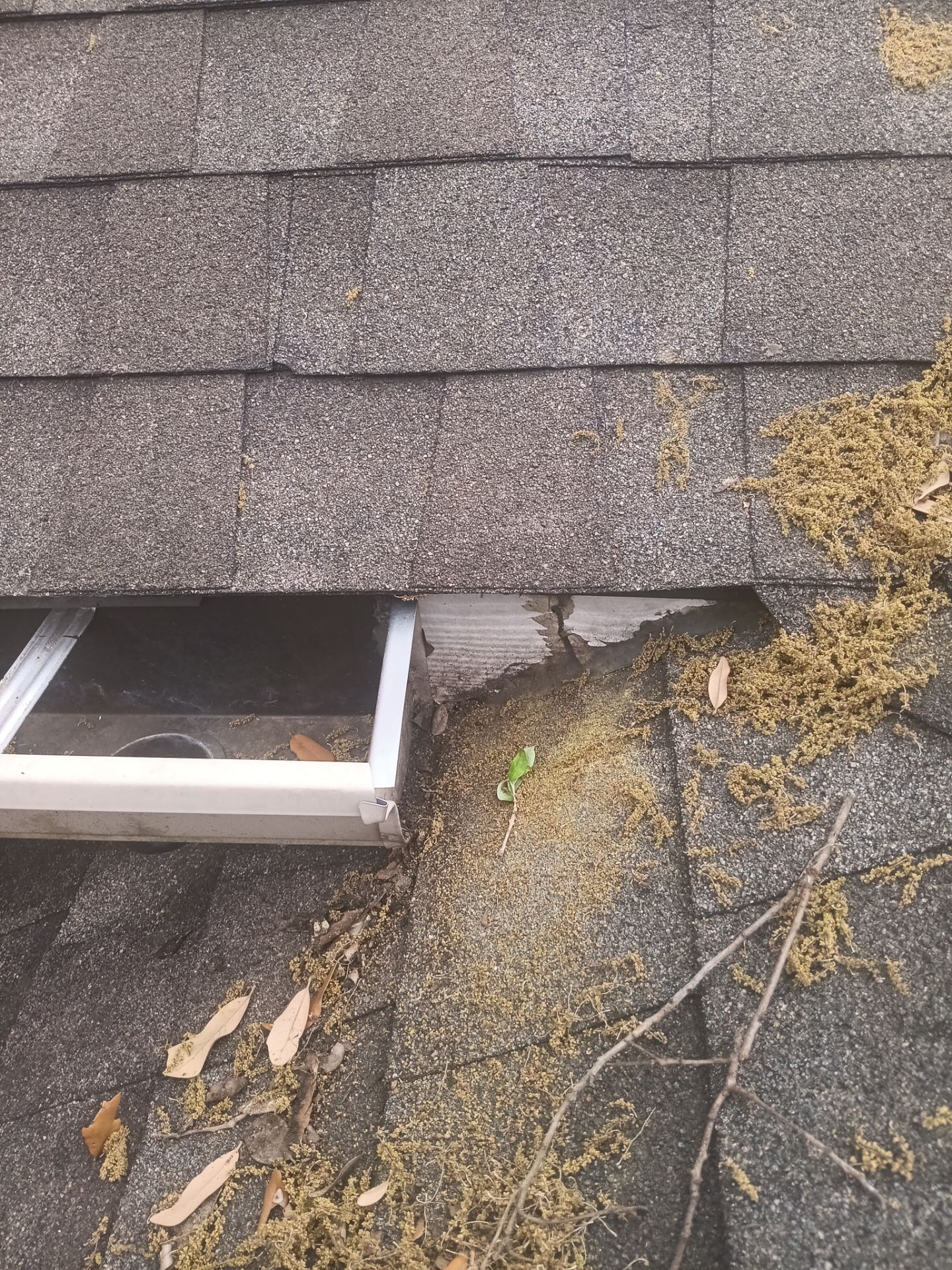 Roof Repair Houston by Roof Repair Company