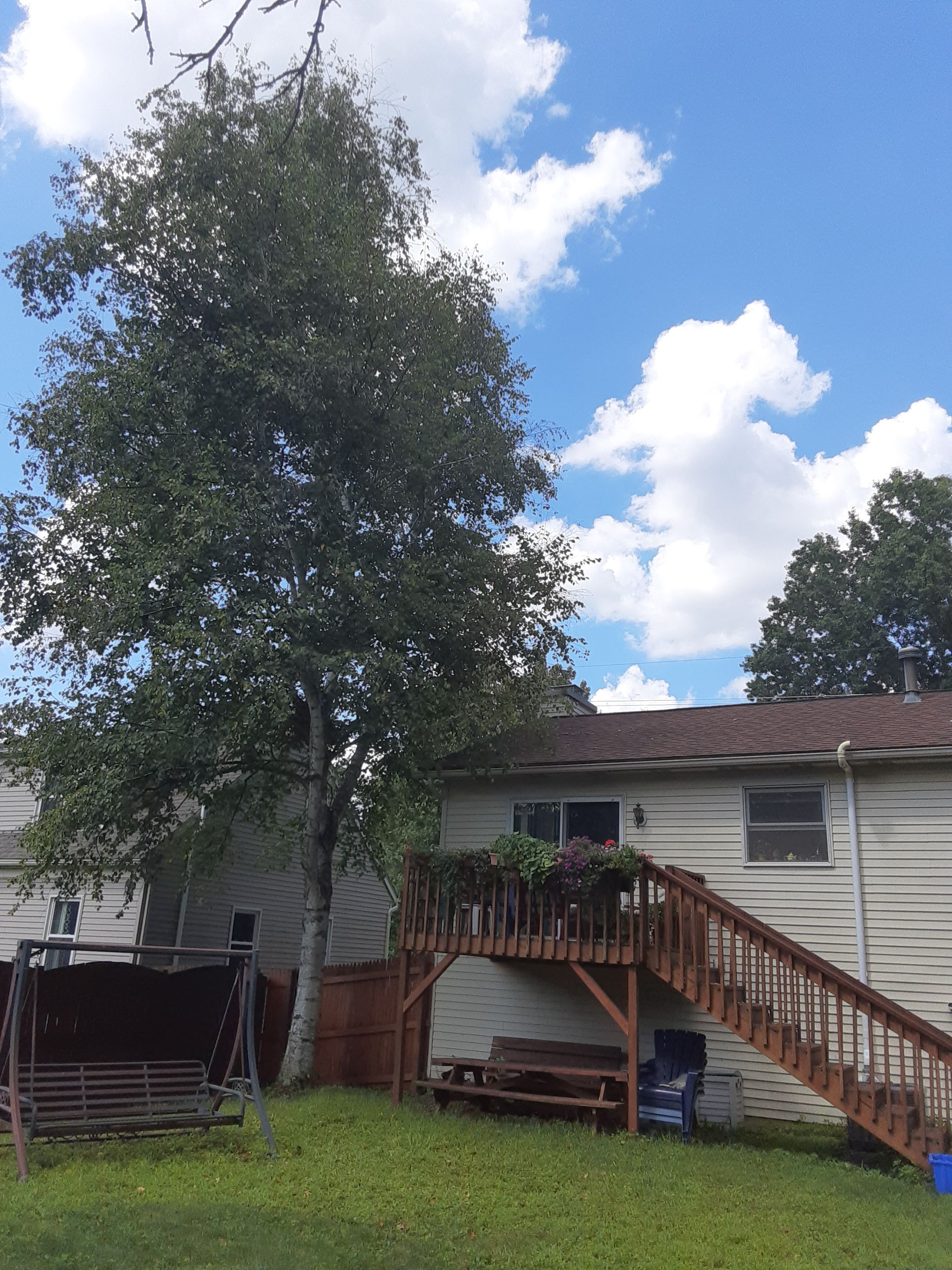 Tree Removal using Tree Removal by Mike Jones & Sons Tree Service LLC 