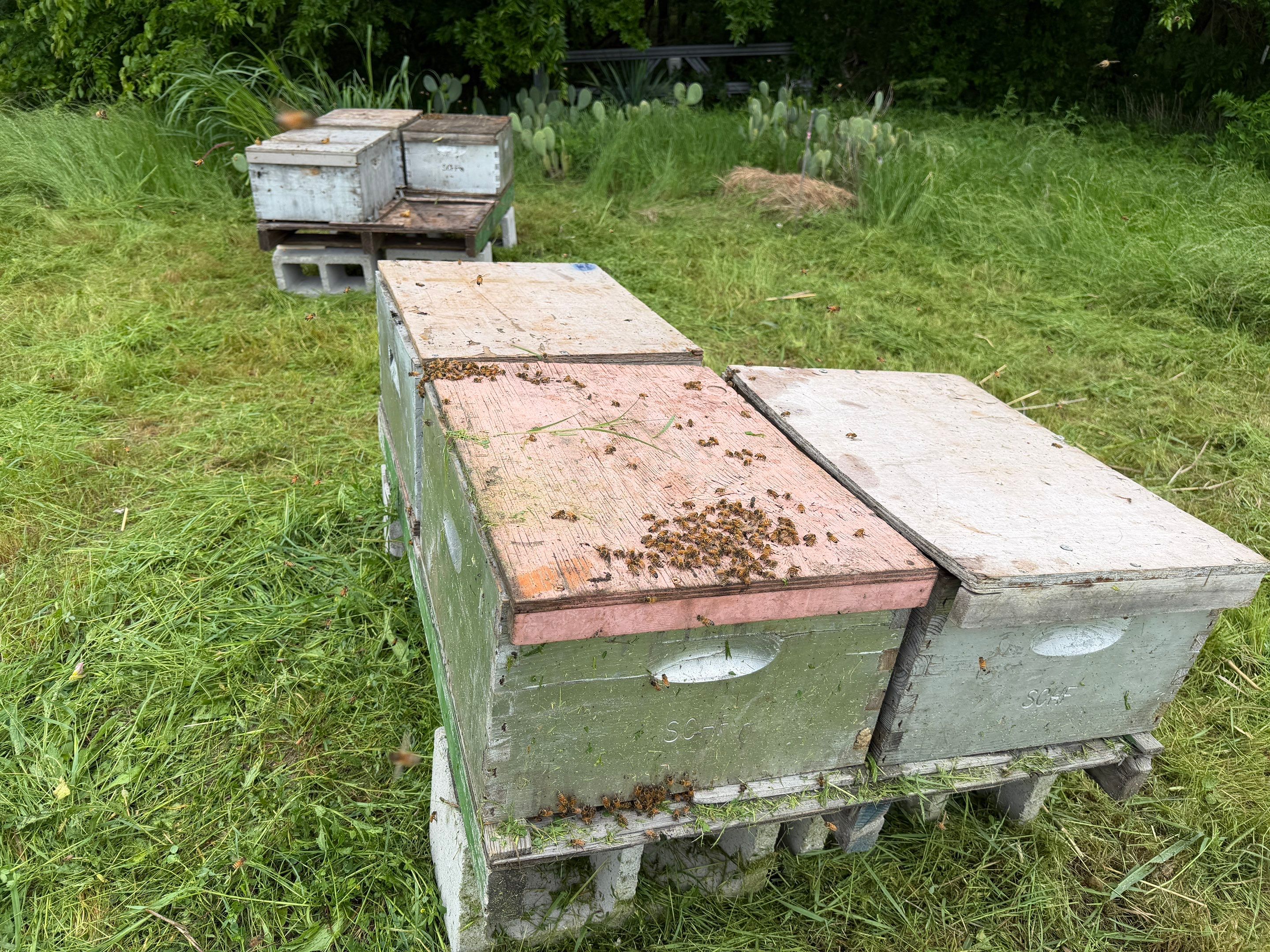 Special Use Valuation in McClendon-Chisolm by Rockwall Honey Bee Company