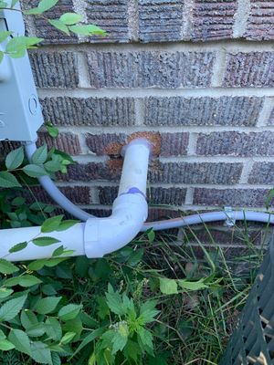 Keeping Brent’s Tenant Safe in South Minneapolis