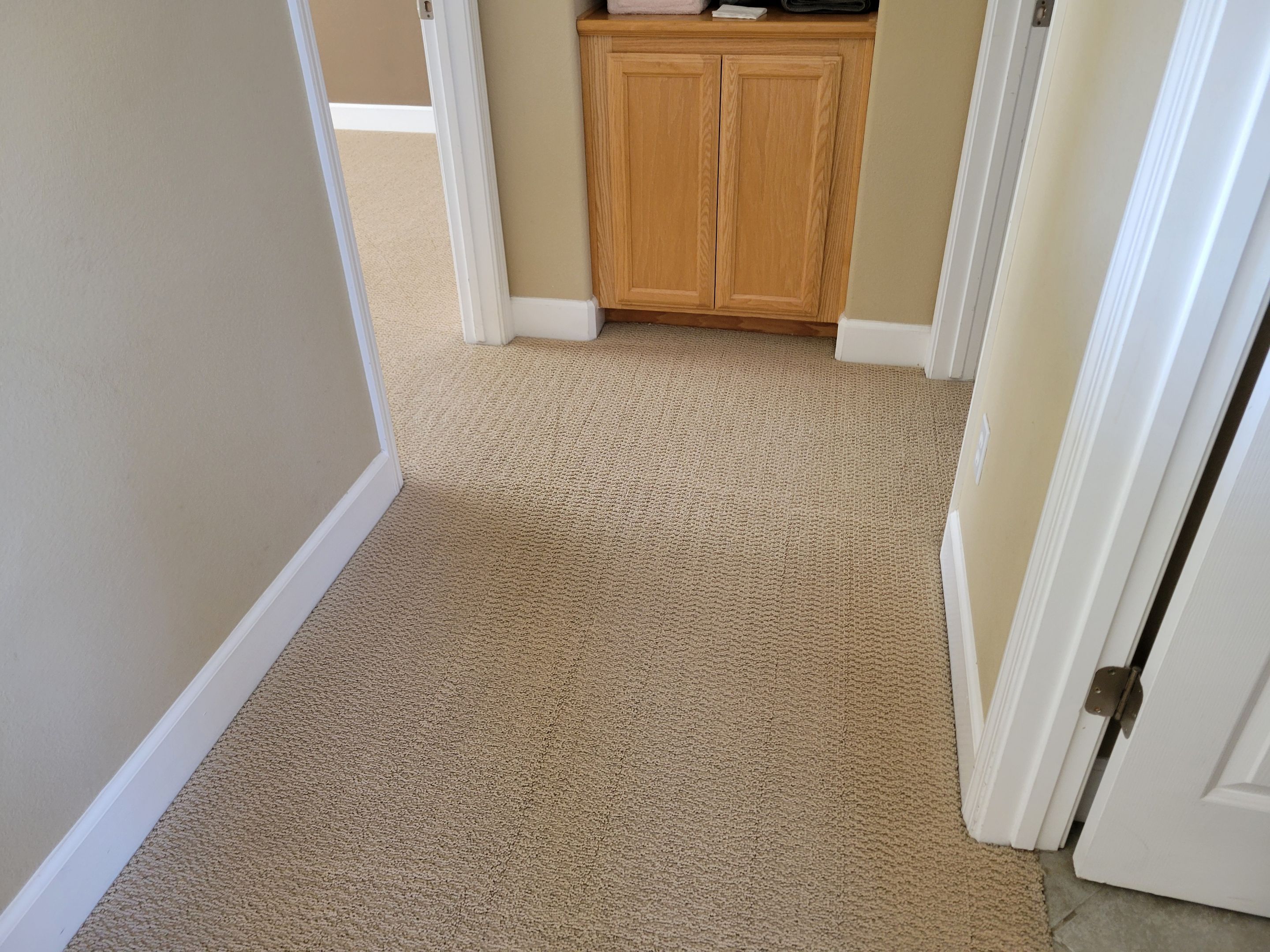 Looped-pile Carpet Cleaning by Ardent Carpet Restore LLC