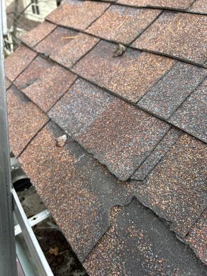 Turtle Shell gutter protection installation in Naperville, IL 60563, photograph 23