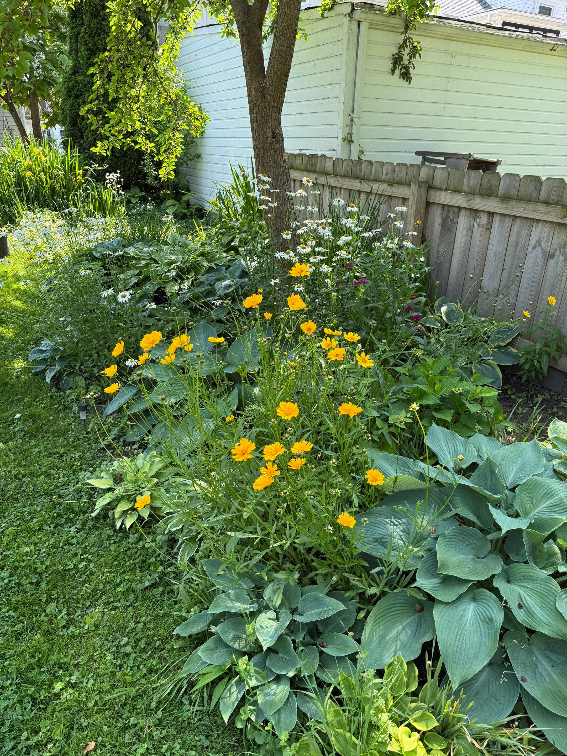 Berea Sandstone Project by Elm Rose Gardens