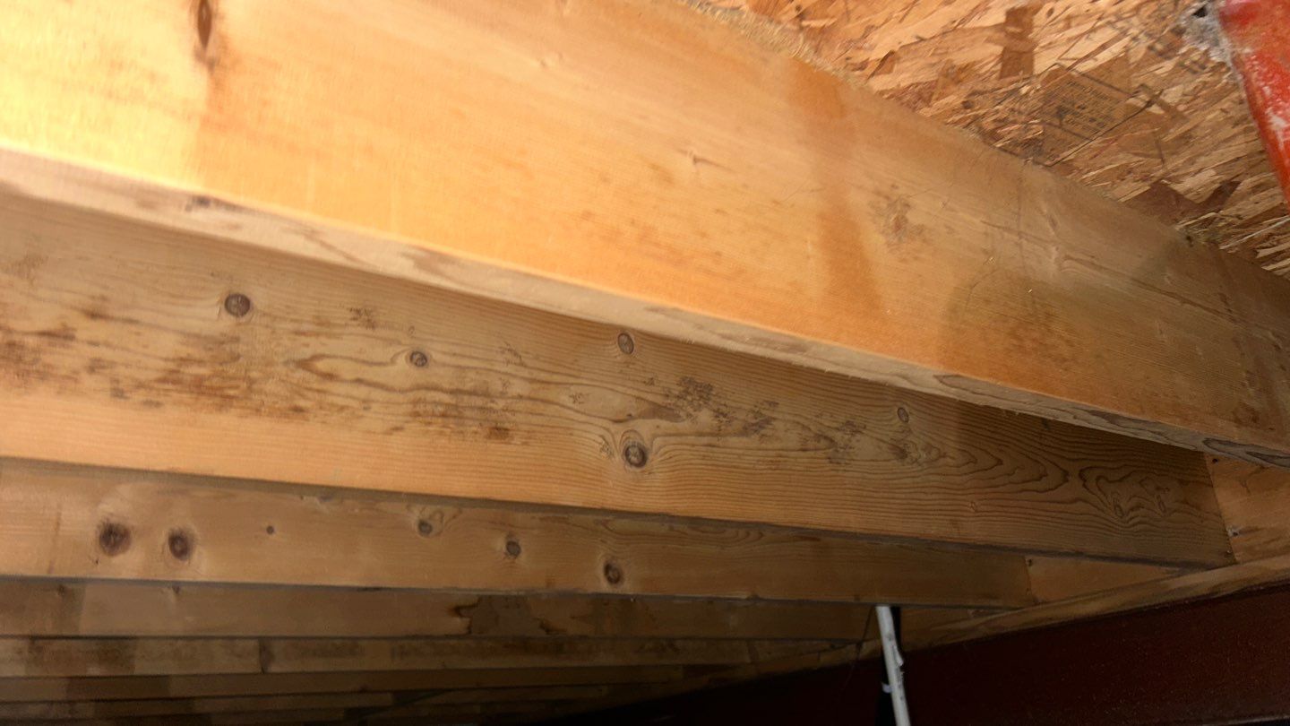 Mold Damage by Accountable Home Services