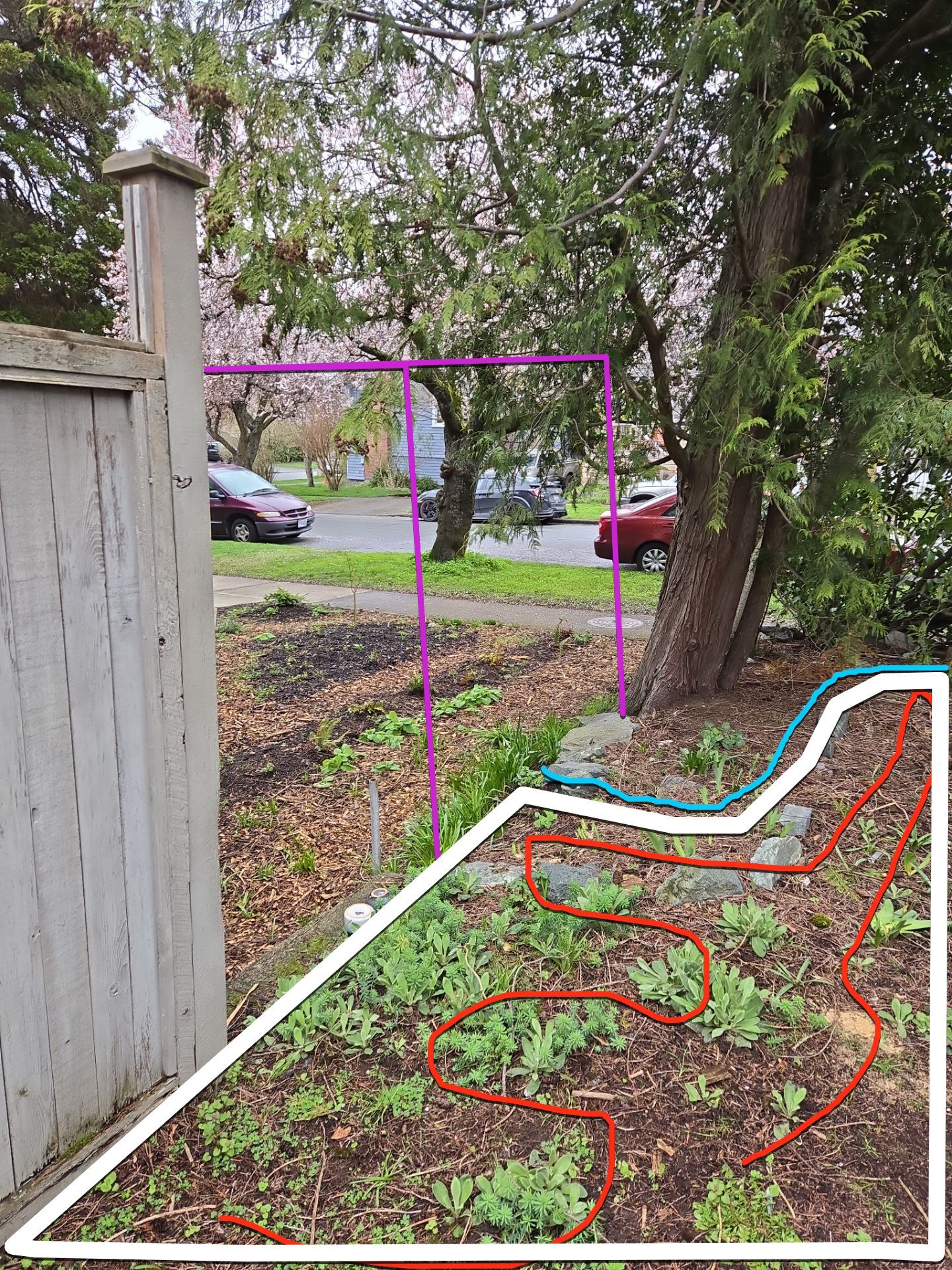 Complete backyard transformation by Habanero Garden and Exterior Care