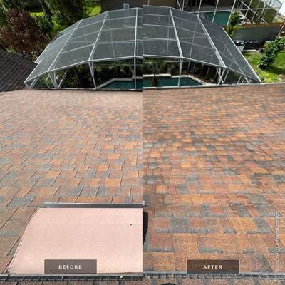 Shingle Roof Debris Removal and Cleaning