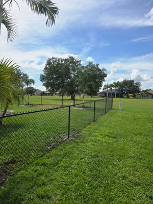 Black Vinyl-Coated Chain Link Fence Installation in Punta Gorda