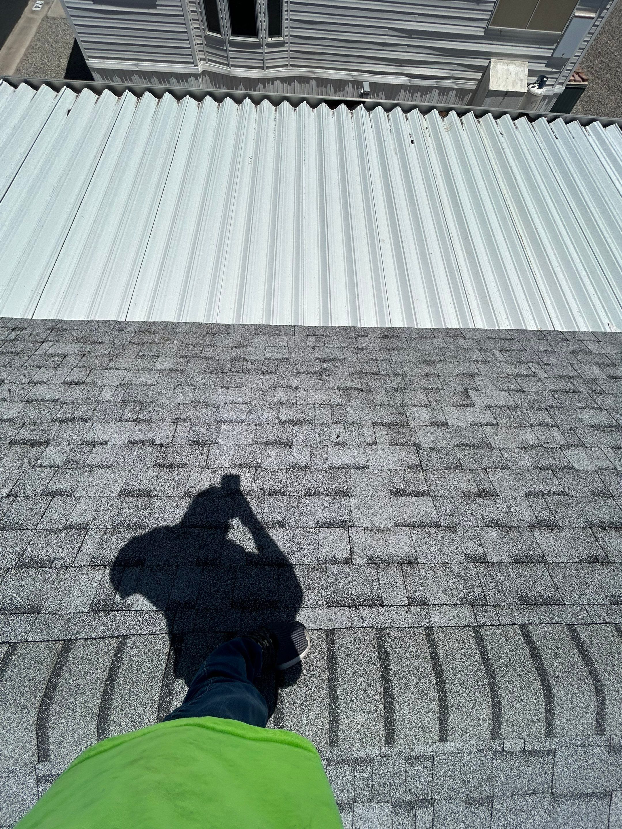 Silver Birch Shingles by Reimagine Roofing