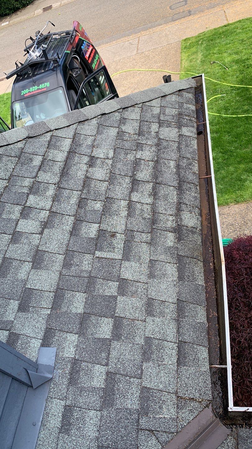 Softwashed in many Years back, and organic regrowth significant by DawnSky LLC
