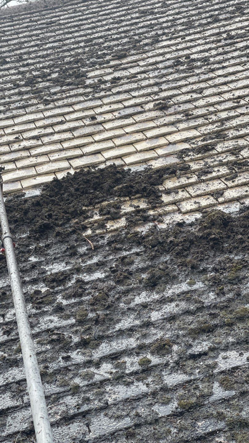 Roof Clean  - Moss Removal - Gutter Clean using Honda 15lpm Low Pressure Washing Machine by Ges Exterior Cleaning ltd