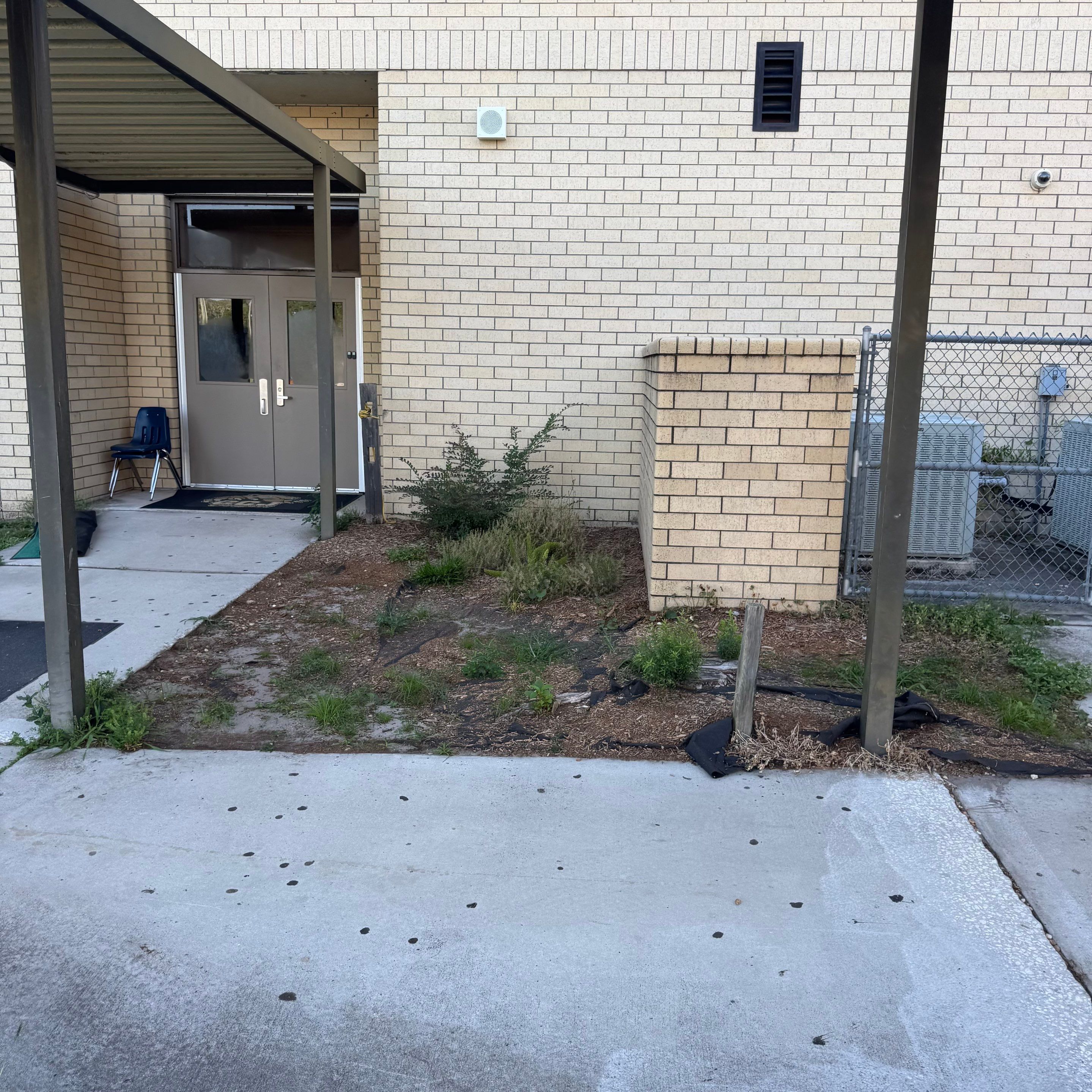 Green Cove Springs Junior High School | Landscape Refresh by ProGreen Services