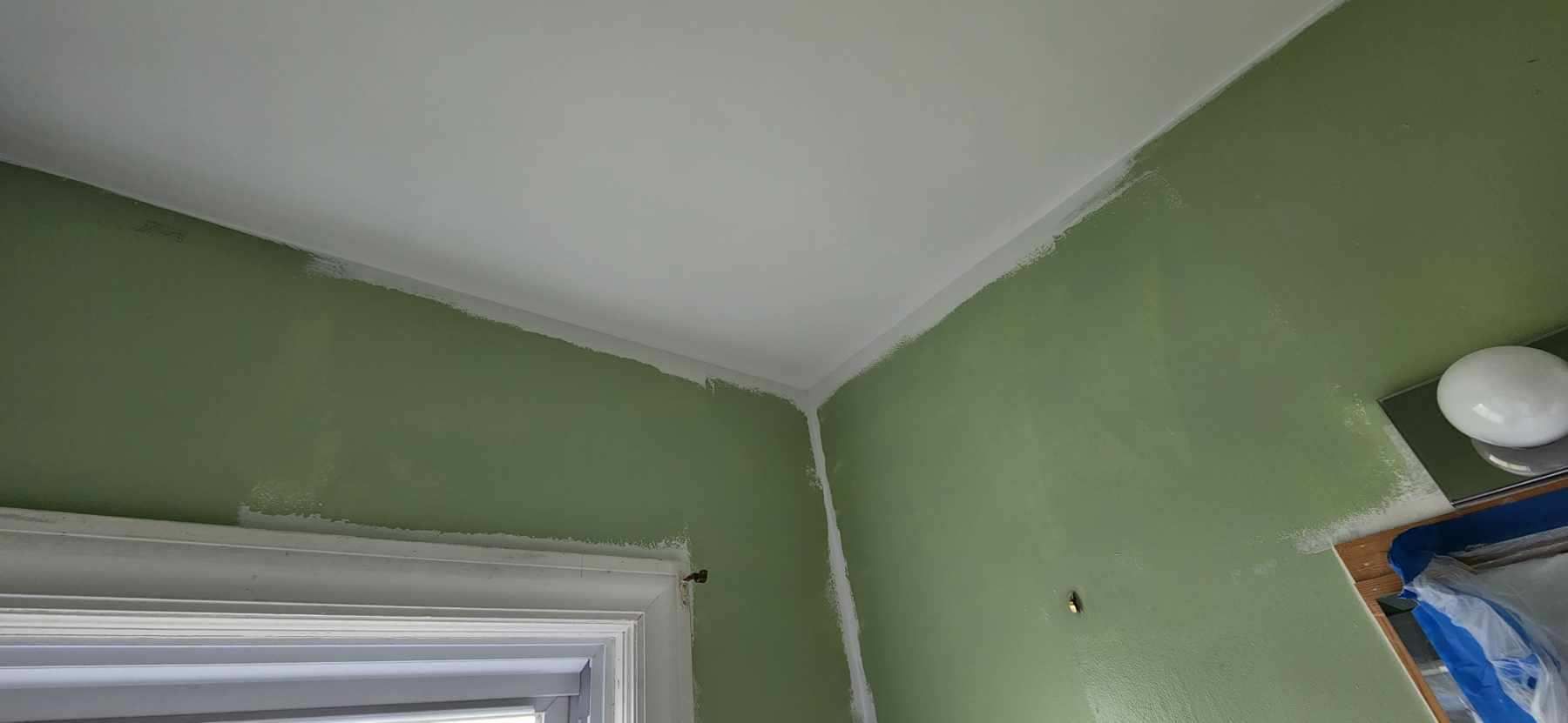 Roof/Siding Leak by Chicagoland Water Medics