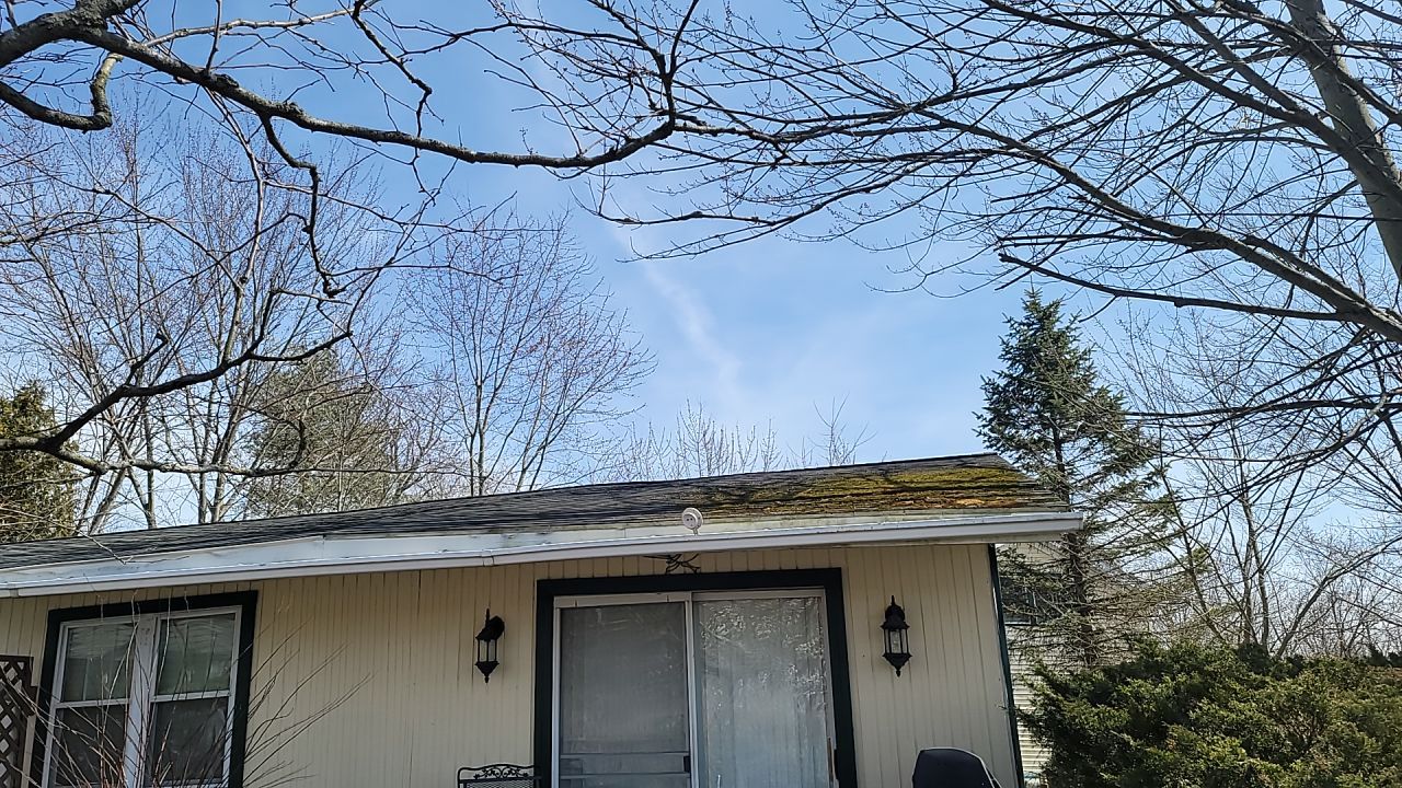 ATLAS PINNACLE COLOR: MORNING HARVEST by Eagle Eye Roofing