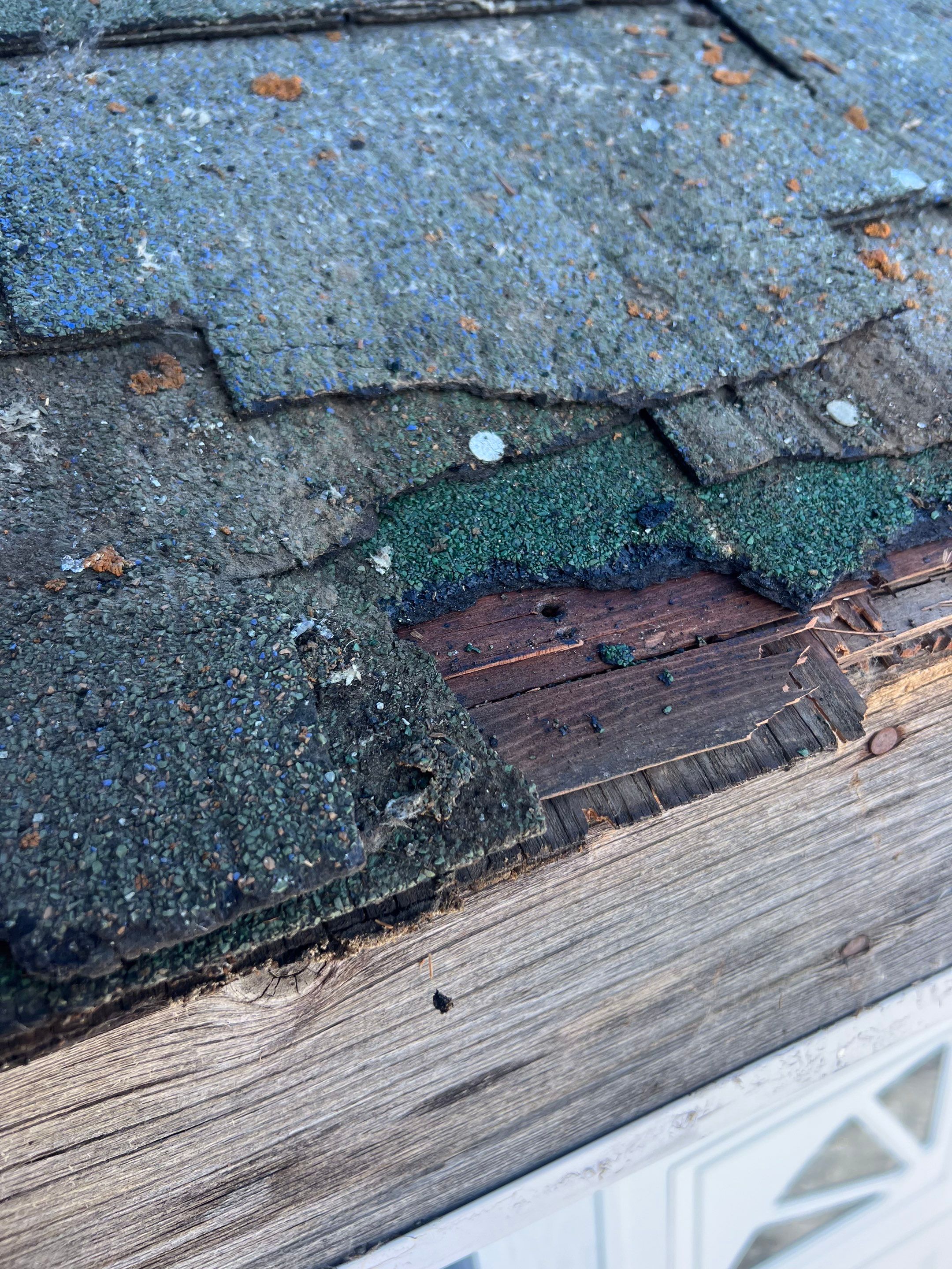 New Metal Roof in Chinook, MT by swagg construction