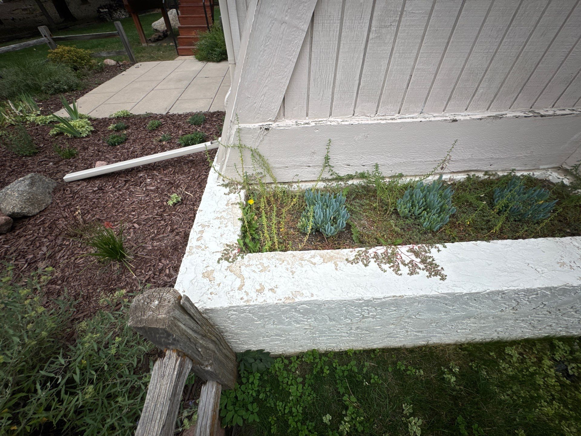 Siding Restoration in Rockrimmon by Carroll Painting LLC