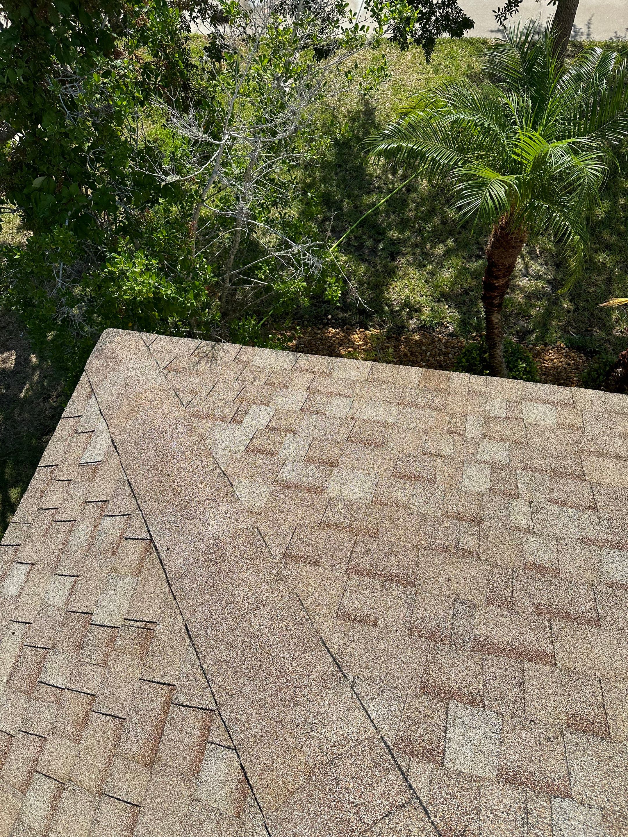 Asphalt Shingle Roof Soft Wash Cleaning & Concrete Pressure Washing in CopperStone Community, Parrish, FL by Sunshine AquaWash