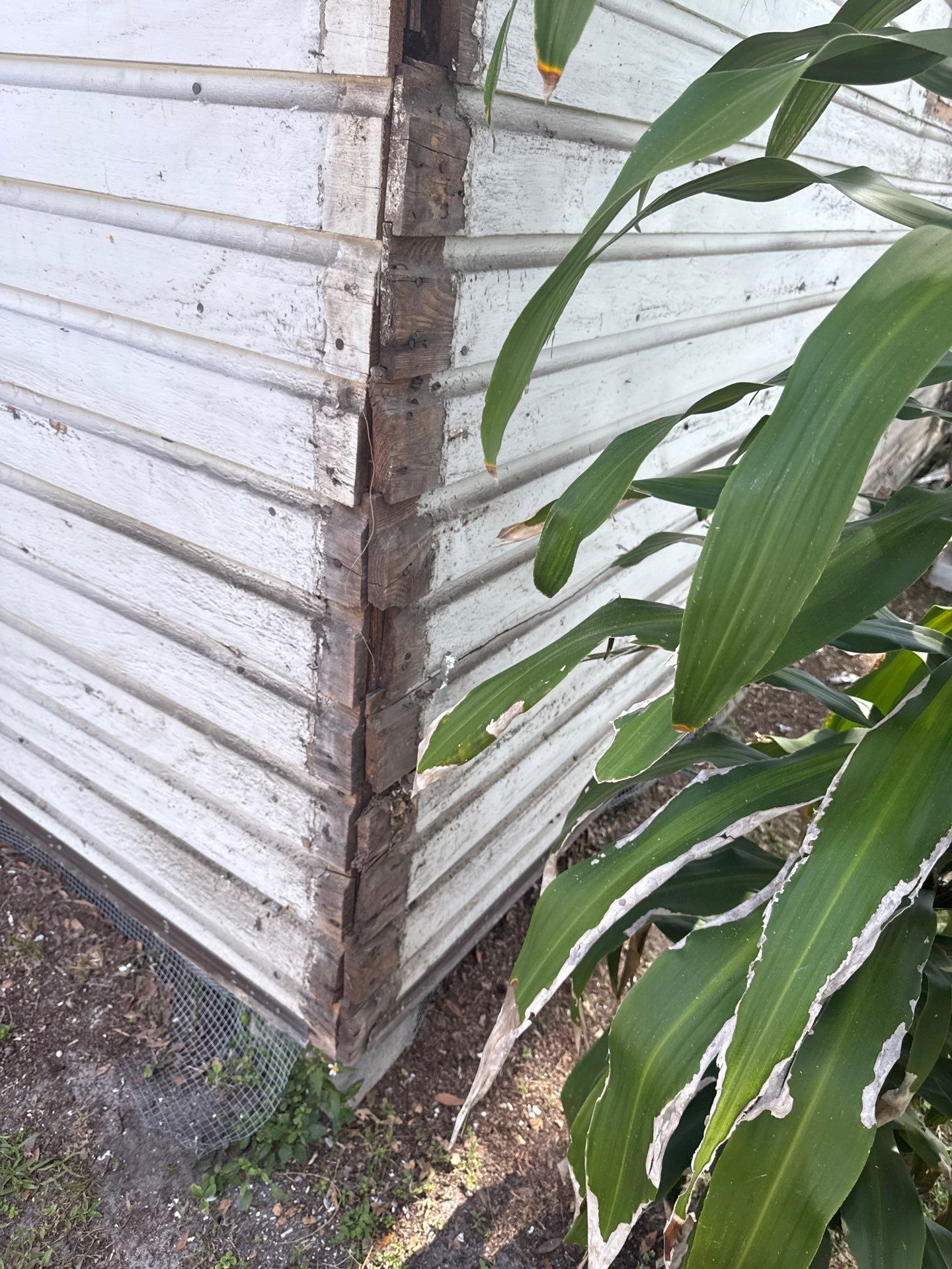 Project in Tampa by Bayshore Exteriors