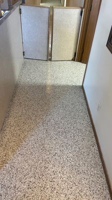 York Animal Clinic