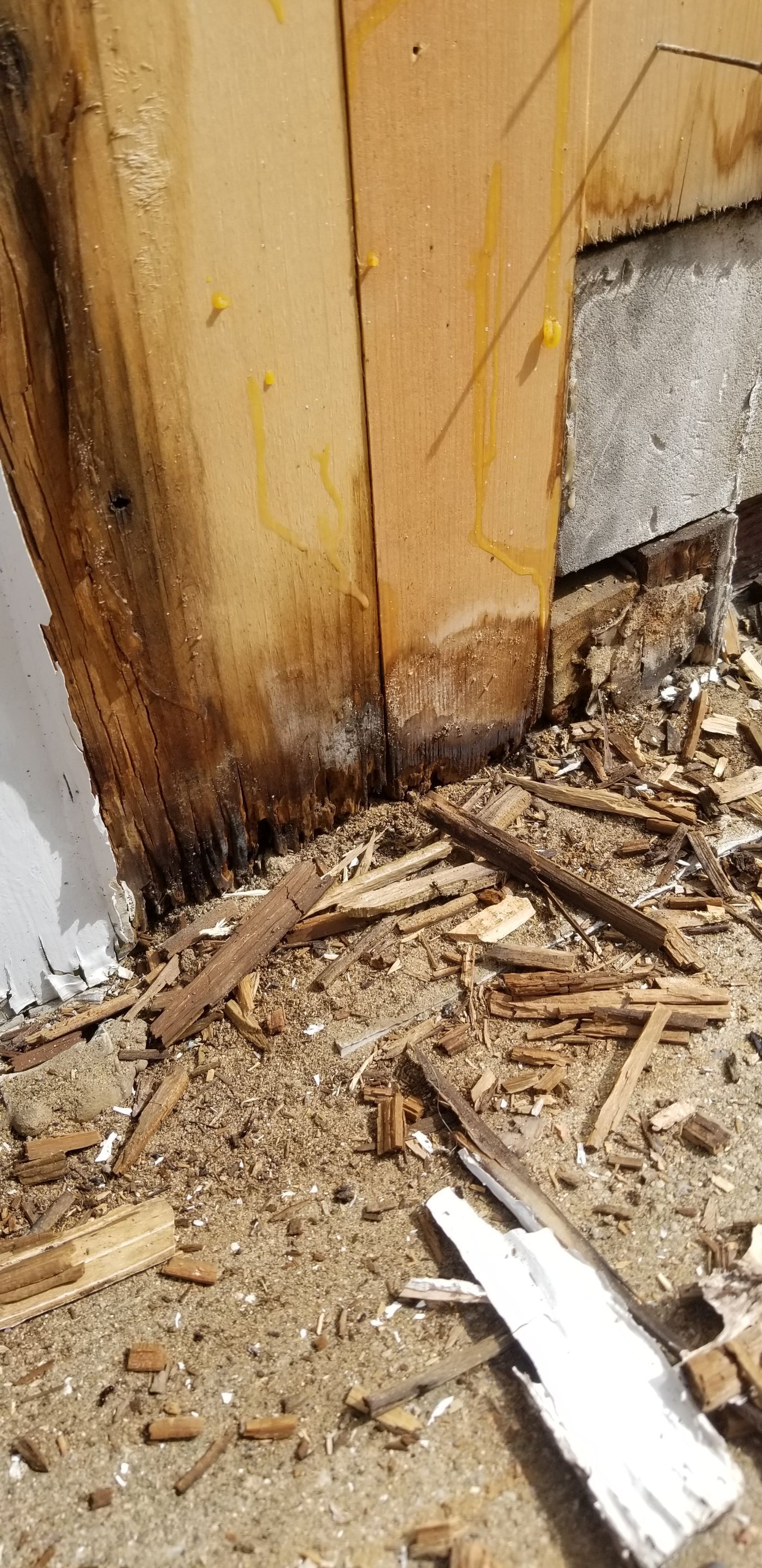 Project in Dearborn, MI by Northwest Construction 