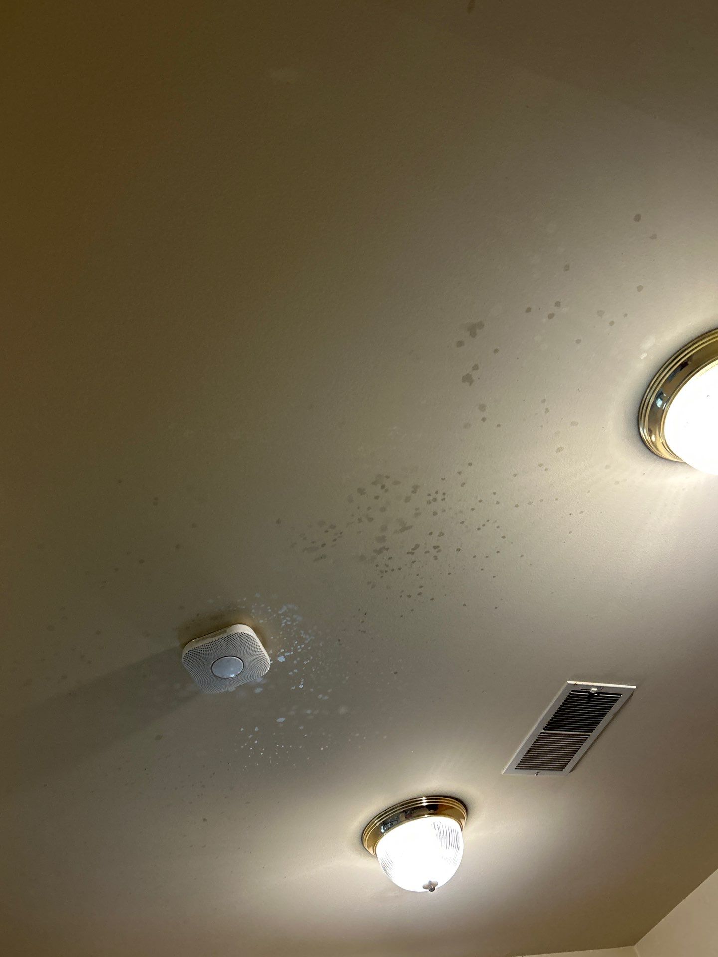 Commercial Interior Painting in Gainesville, MD by My Painter 