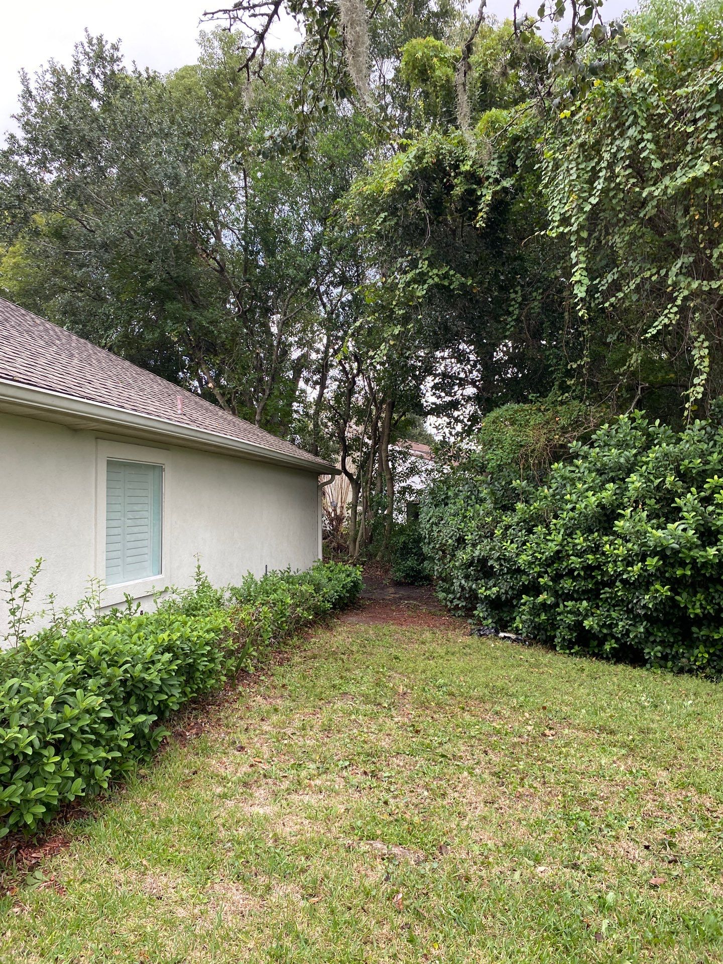 Deerwood Residence | Property Clean Up  by ProGreen Services