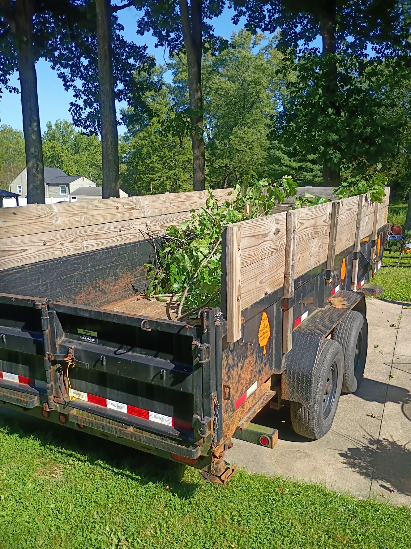 Tree Trimming & Tree Removal in Akron Ohio by Mike Jones & Sons Tree Service LLC 