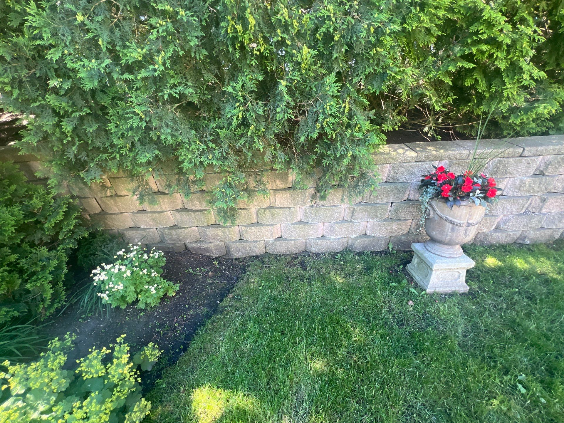 concrete cleaning using Algaecide, soft wash soap by Northern Power Washing LLC.