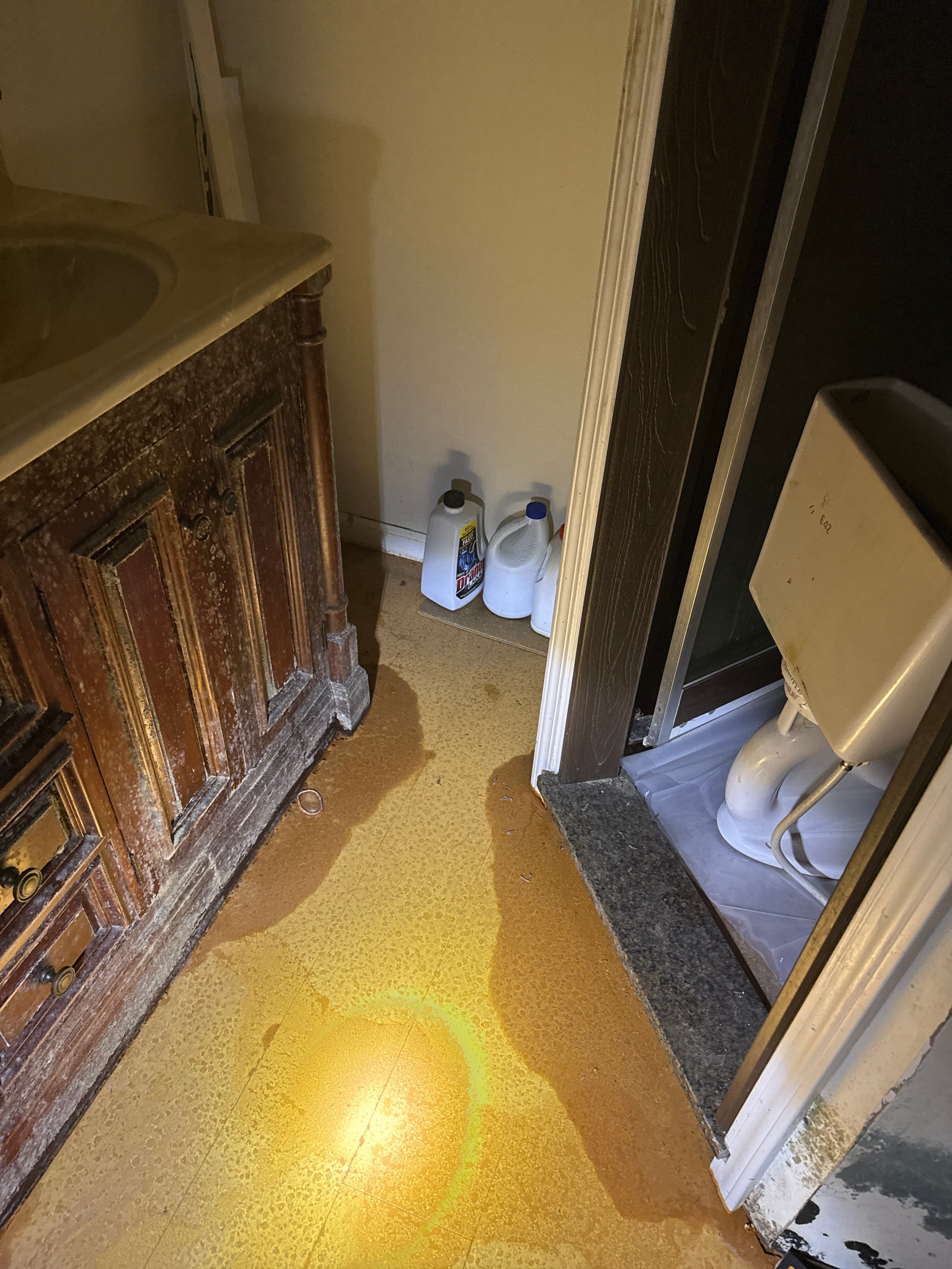 Water Damage& Mold Remediation Project-Dover, DE. by Healthy Home Solutions