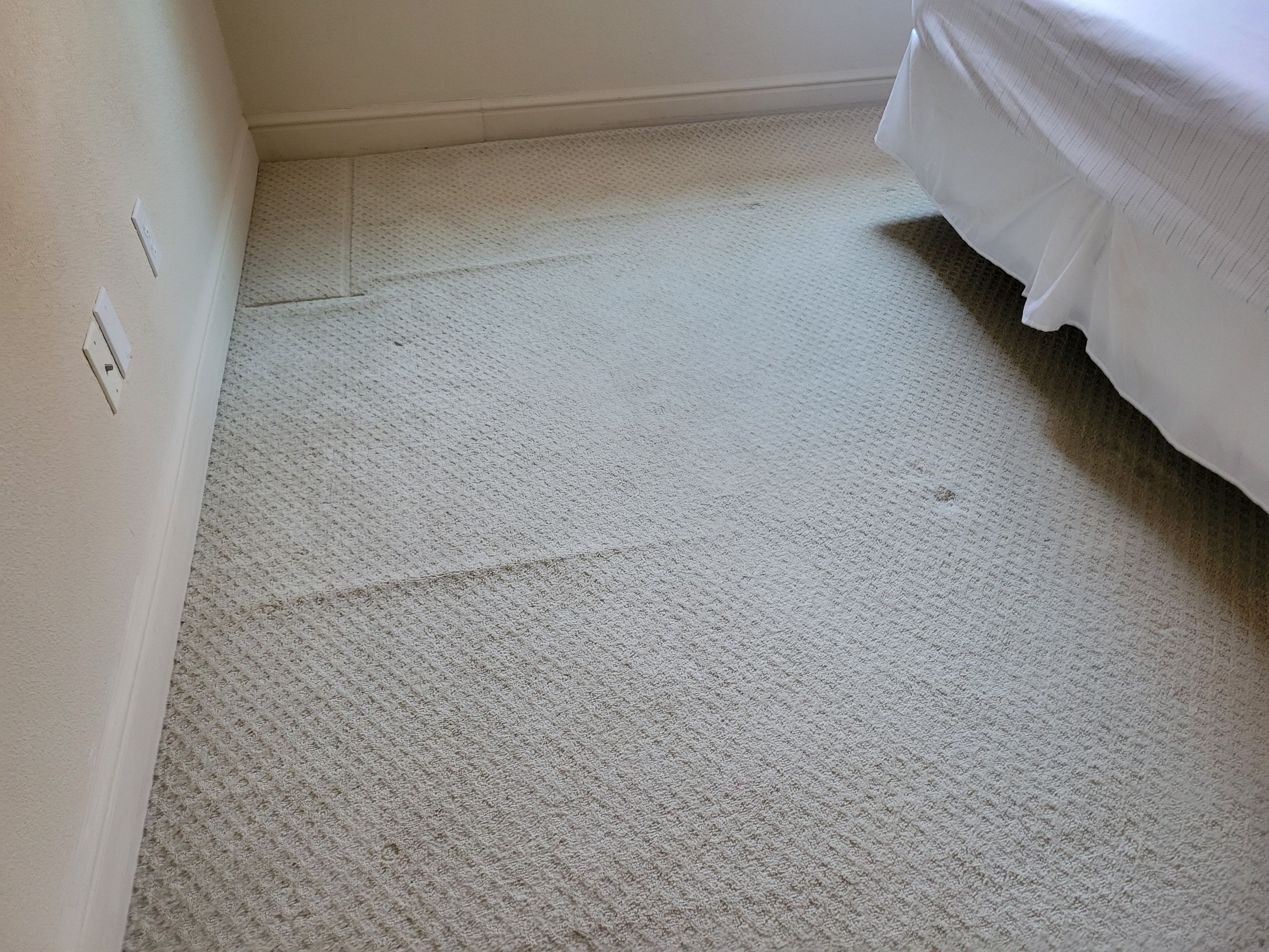 Carpet Re-stretching and Stain Removal by Ardent Carpet Restore LLC