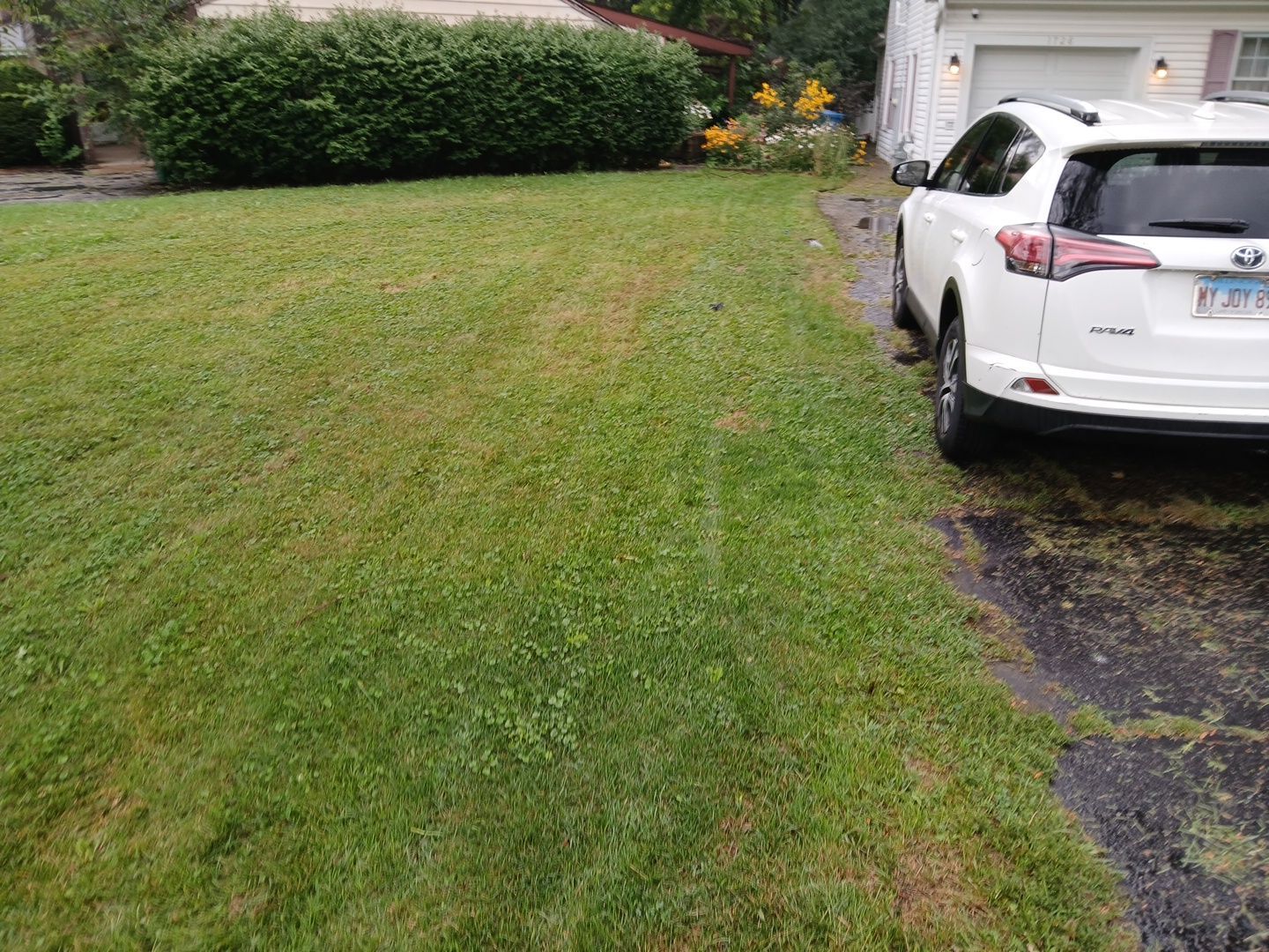 Steven L. - Park Ridge, IL by A&N