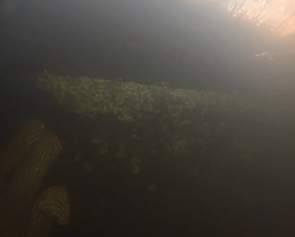 Project in No Ft Myers by Florida Hull Cleaning 