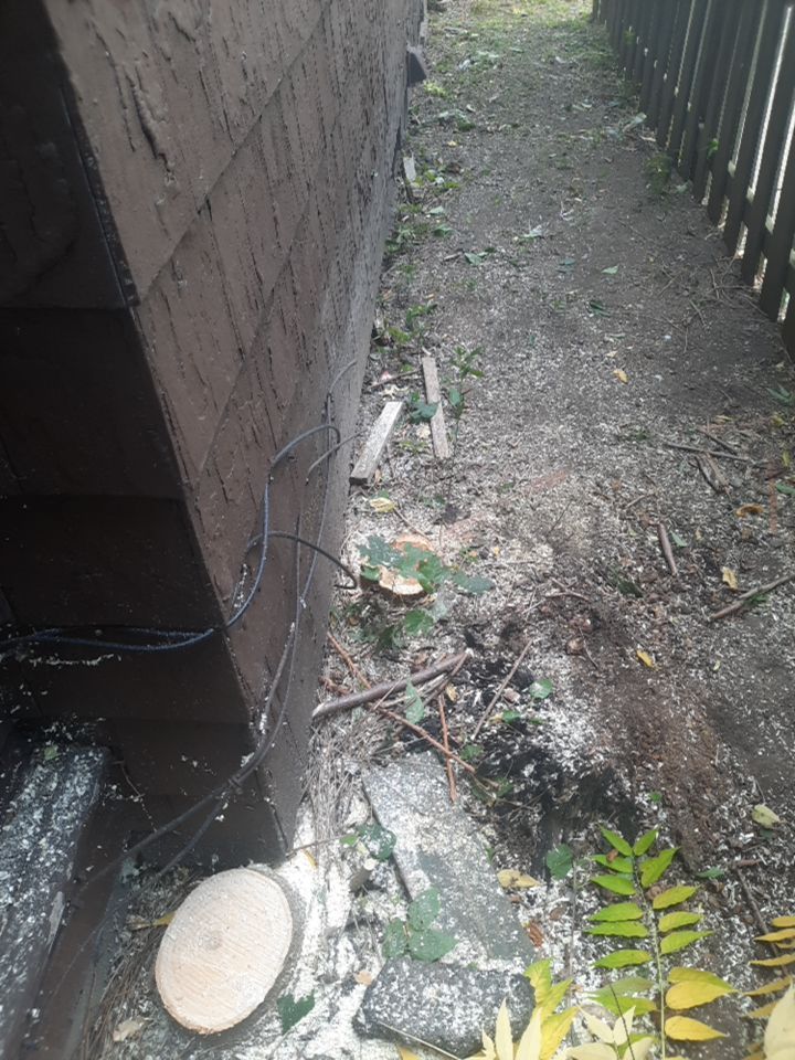 Tree Removal using Tree Removal by Mike Jones & Sons Tree Service LLC 