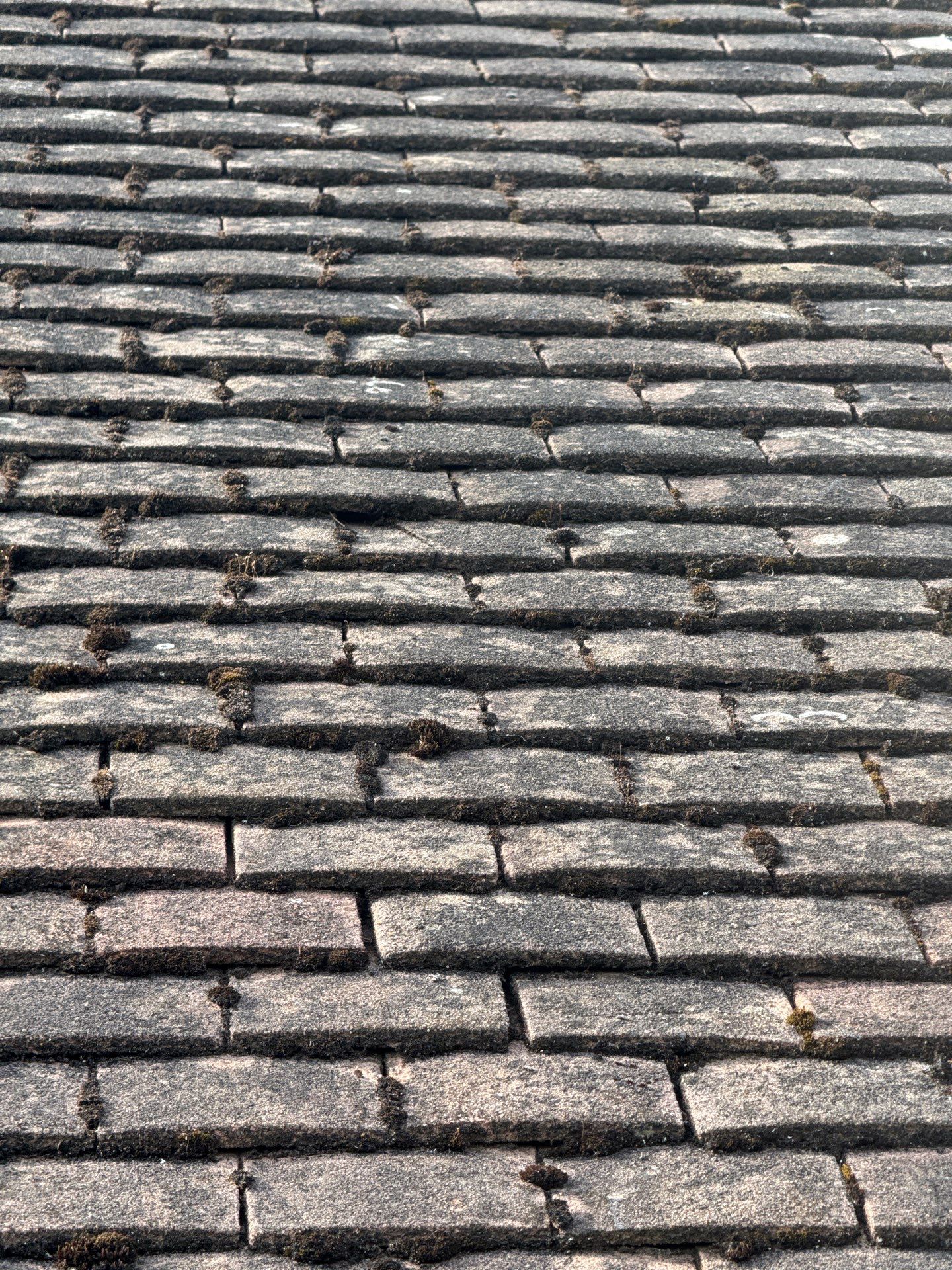 Roof Clean  - Moss Removal - Gutter Clean using Honda 15lpm Low Pressure Washing Machine by Ges Exterior Cleaning ltd
