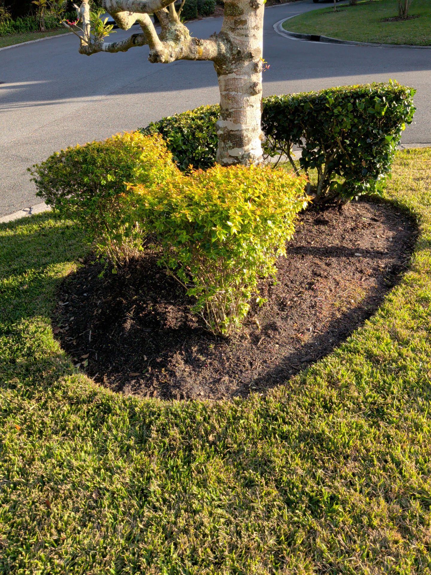 Flower Bed Cleanup & Mulch Preparation — Jacksonville Beach by Harmoni Home Services
