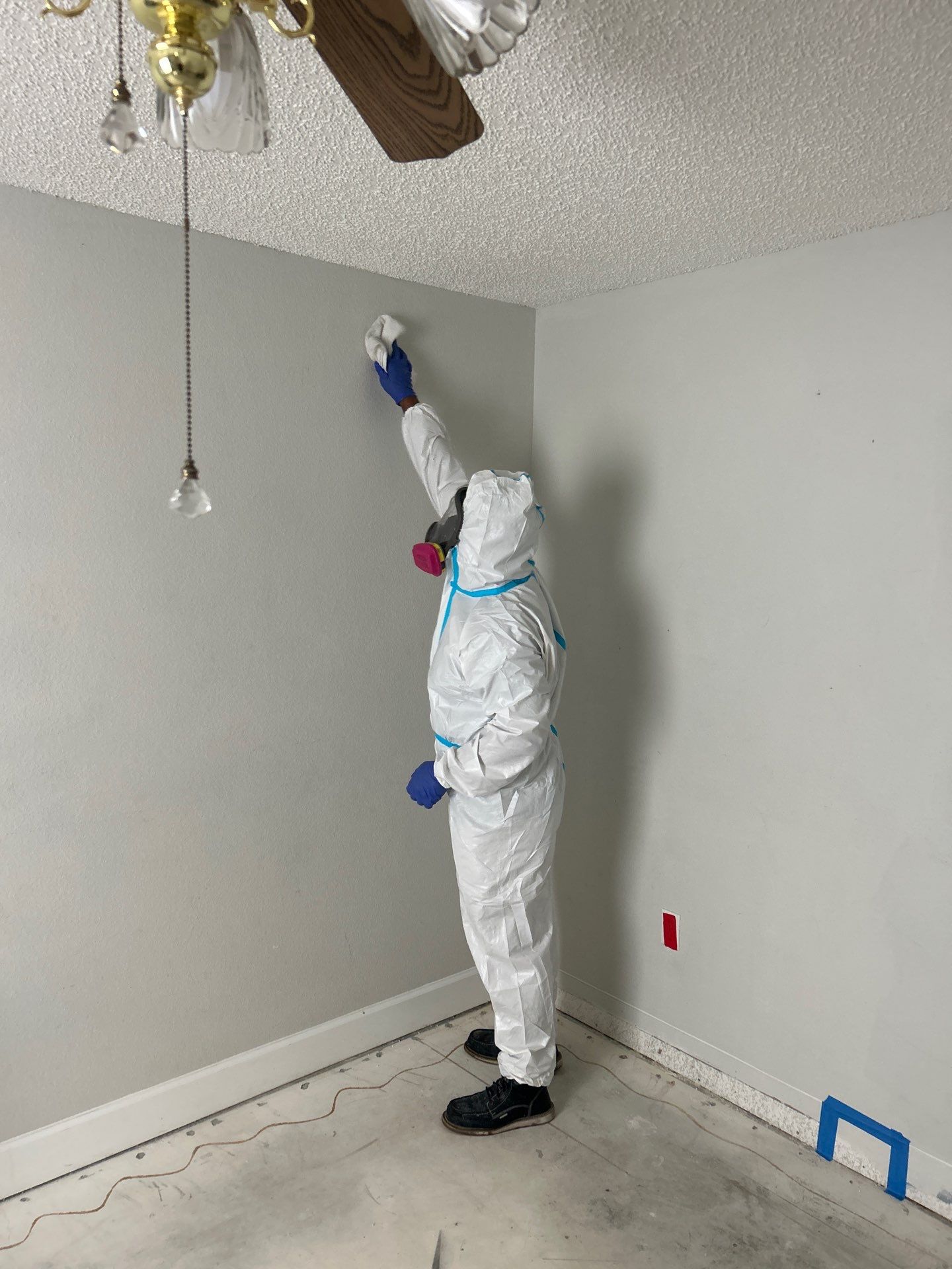 Stansell - water and mold photos  by THE RAPID TEAM