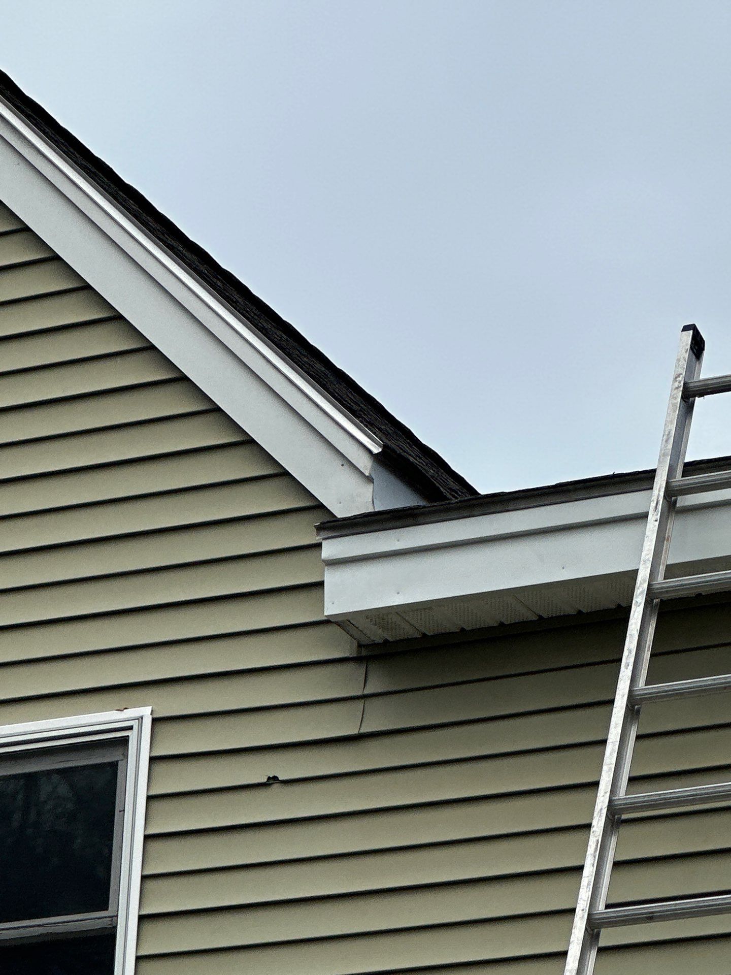 Roof Repair & Fascia Trim Work in Lowell, MA by Mighty Dog Roofing of Greater Middlesex County