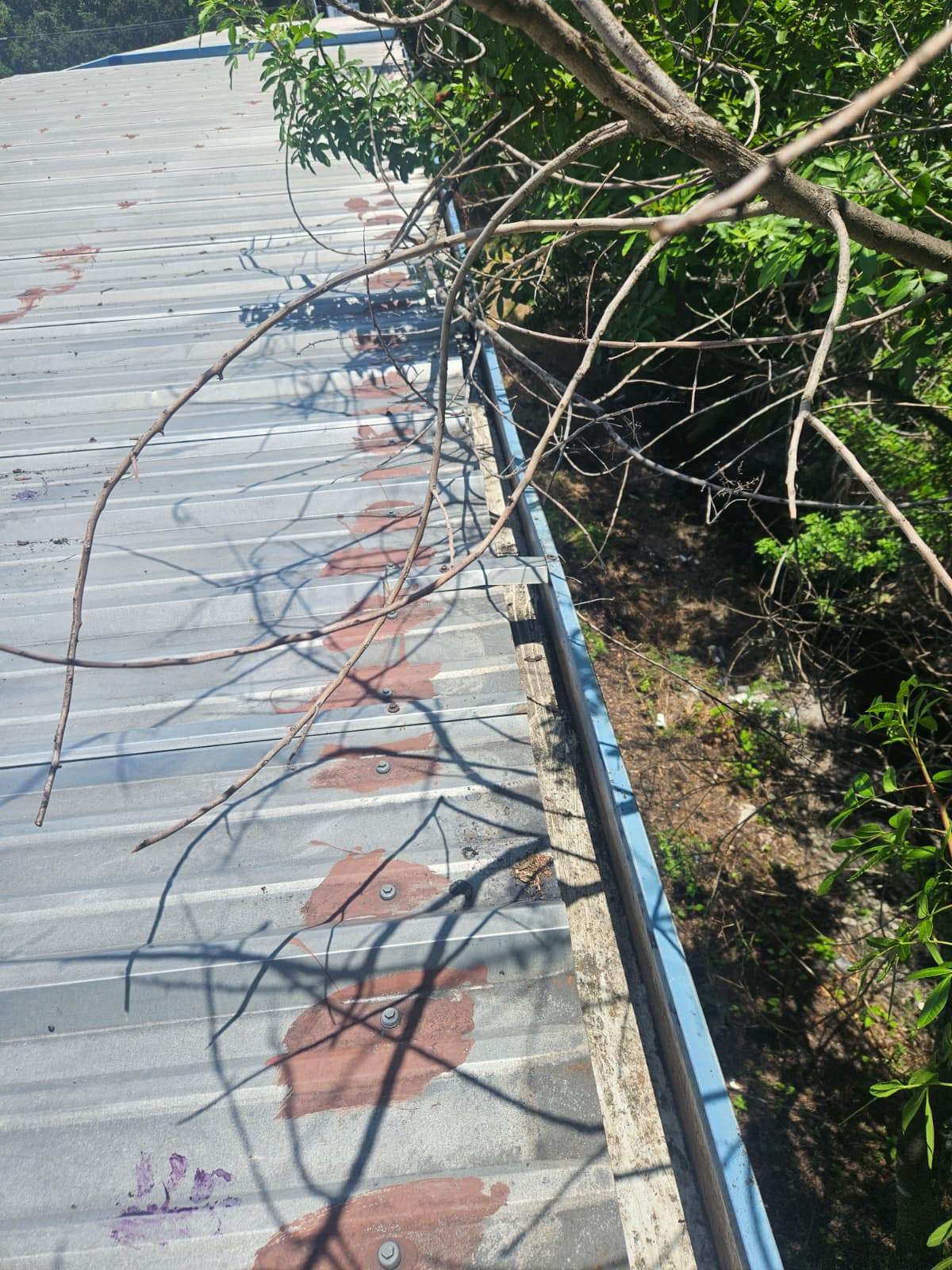 Clean Gutters and Seal Seams in Lakeland FL by Gutter Professors