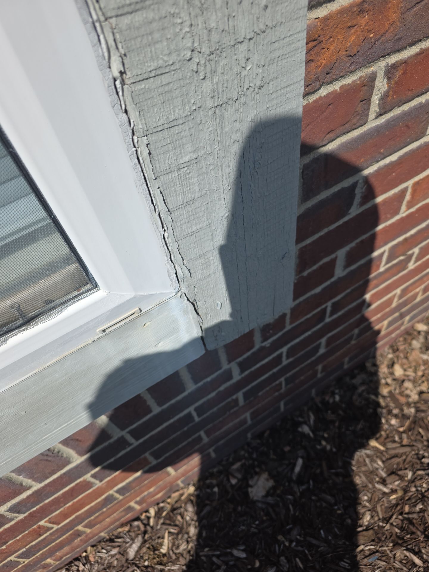 Exterior Siding and Wood Trim Restoration in Ypsilanti by Top Shelf Painter