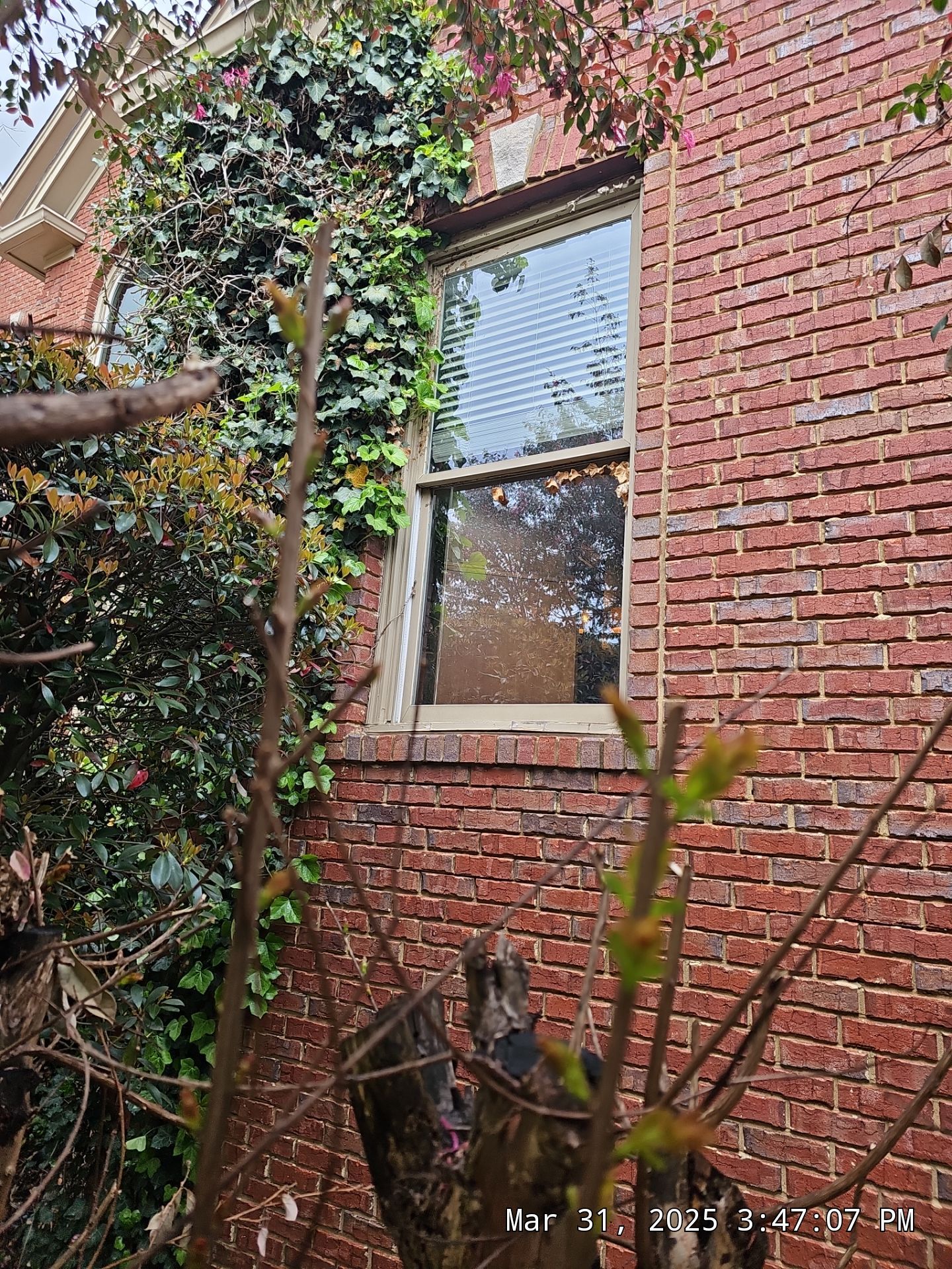 Hoyt Project in Birmingham by The Window Source