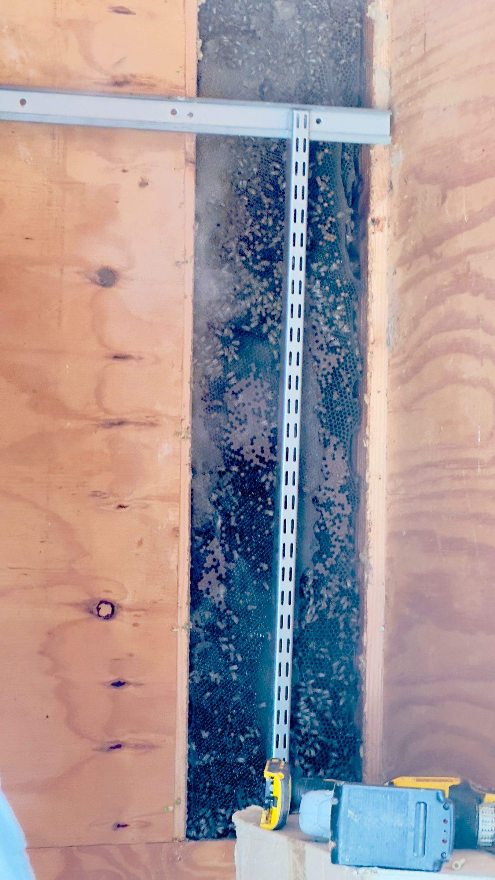 Shed Wall by Rockwall Honey Bee Company