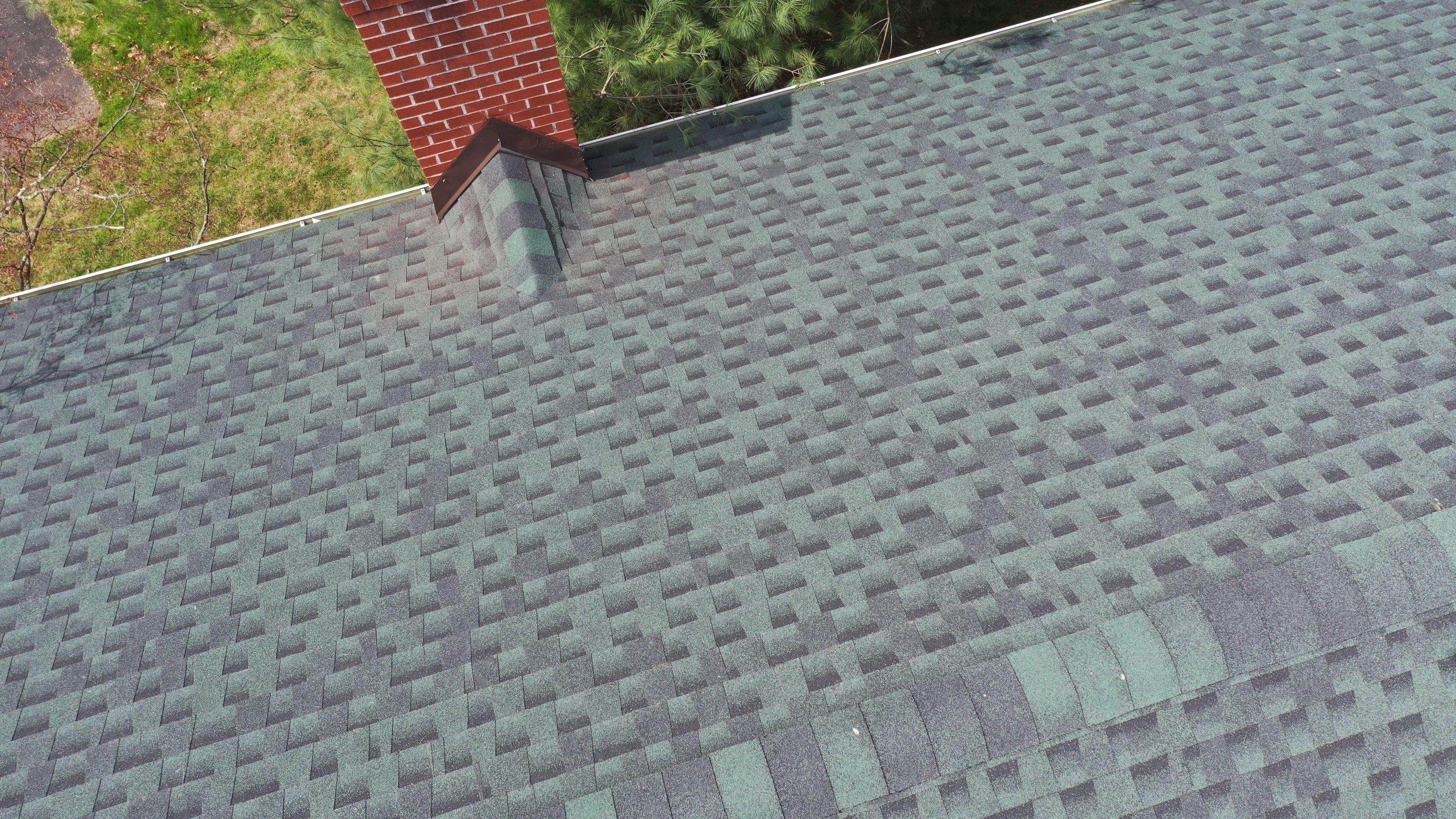 Green Roof by Stofan Construction LLC