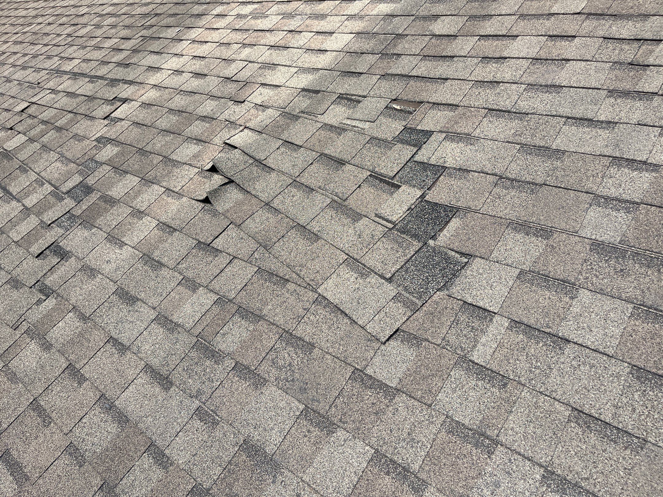 Shingle -> Shingle by Prime Roofing