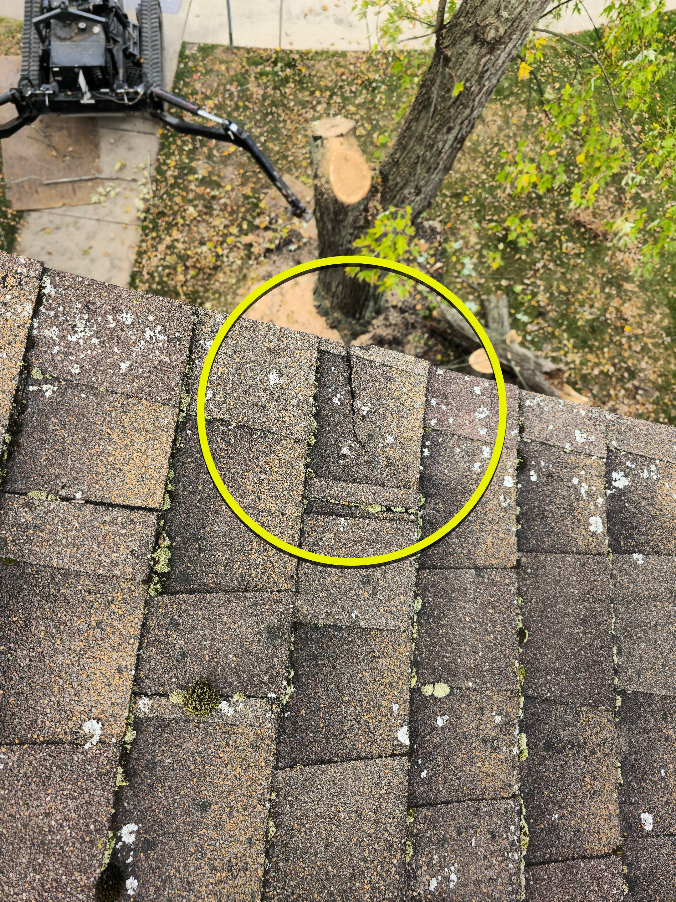 Emergency Job: Removal of Branch by Treeman Tom LLC