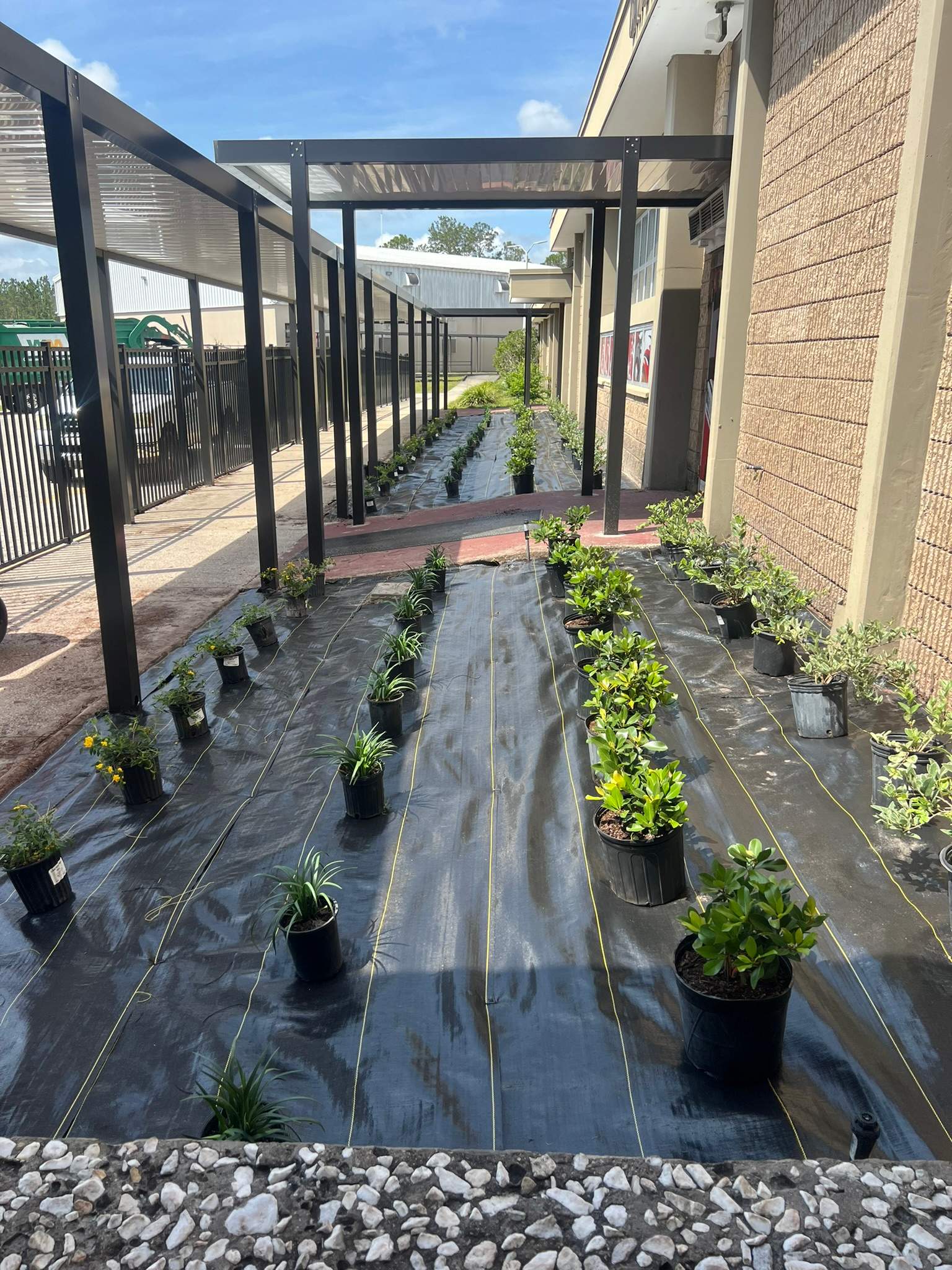 Landscape Install | Wilkinson JHS by ProGreen Services