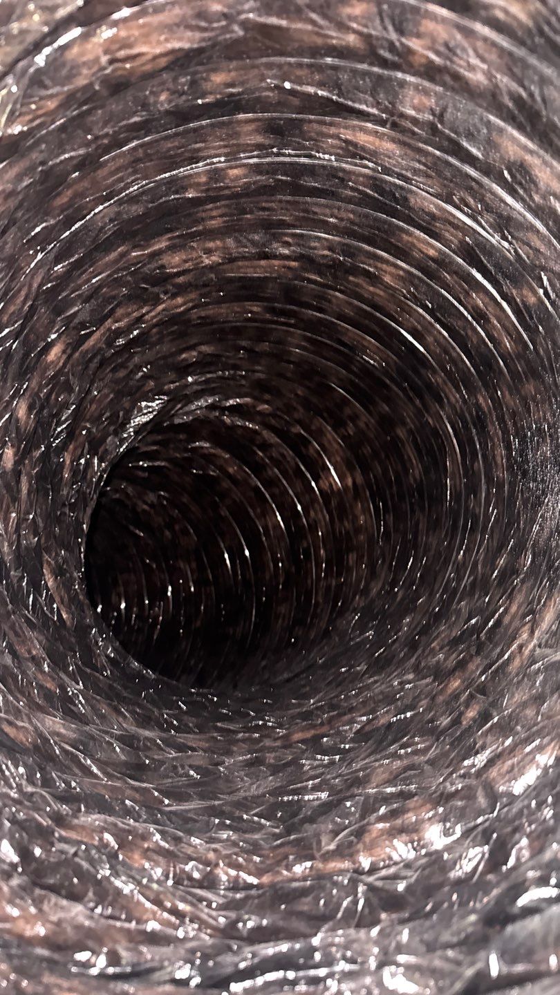 Air Duct and Dryer Vent Cleaning in Orlando by Hygienic Air, Inc