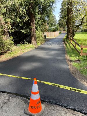 Asphalt Driveway Repair | Sammamish 