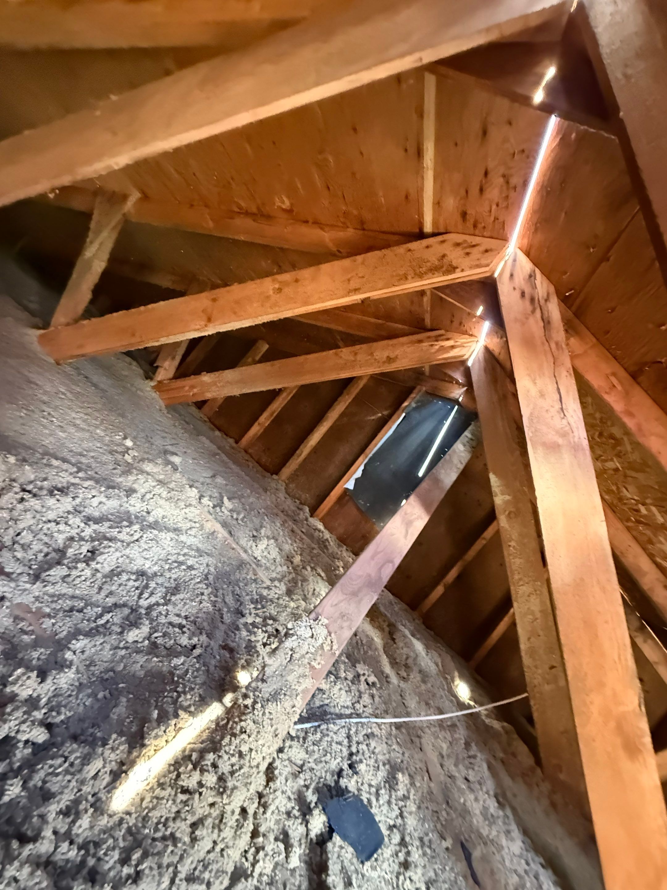 Roof Replacement using Owens Corning Tru Definitions by 180 Contractors
