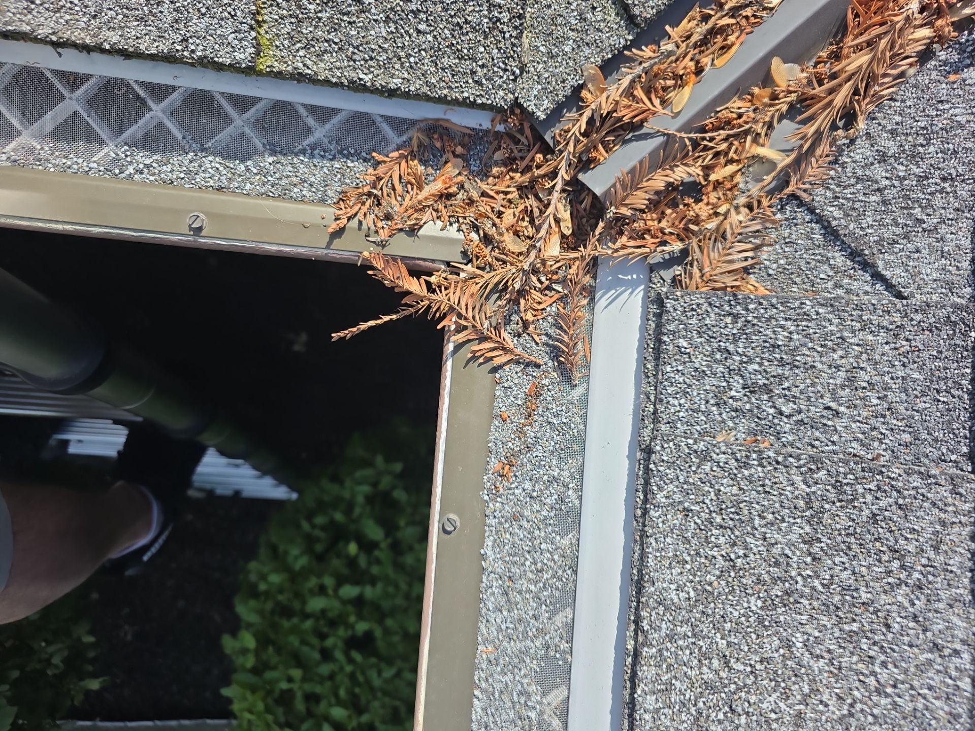Roof Rejuvenation using Roof Maxx Treatment by Roof Maxx of Folsom