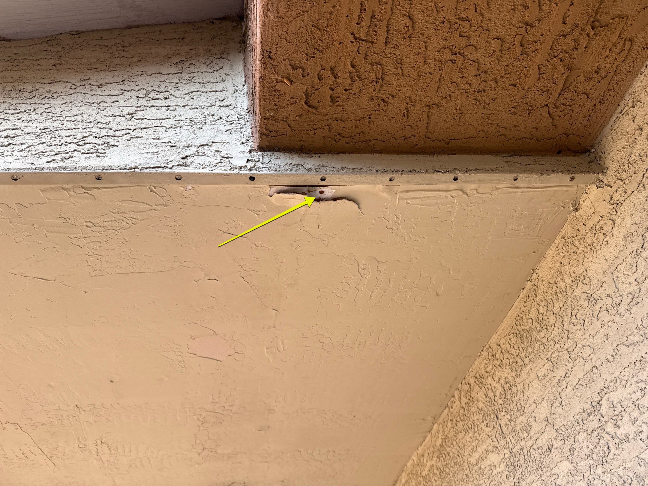 Exterior Painting - Gilbert by Crash of Rhinos Painting & Garage Floors