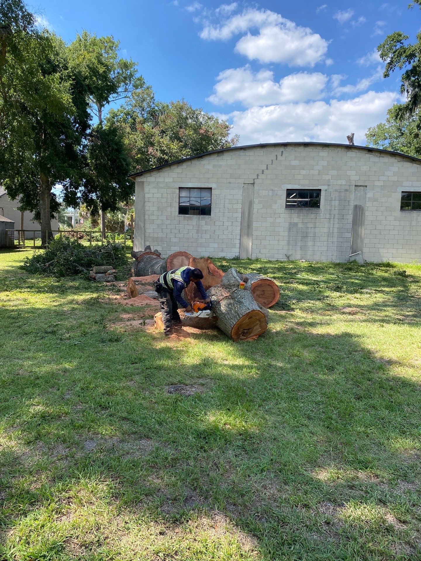 Commercial Property | Clean Up & Tree Removal by ProGreen Services